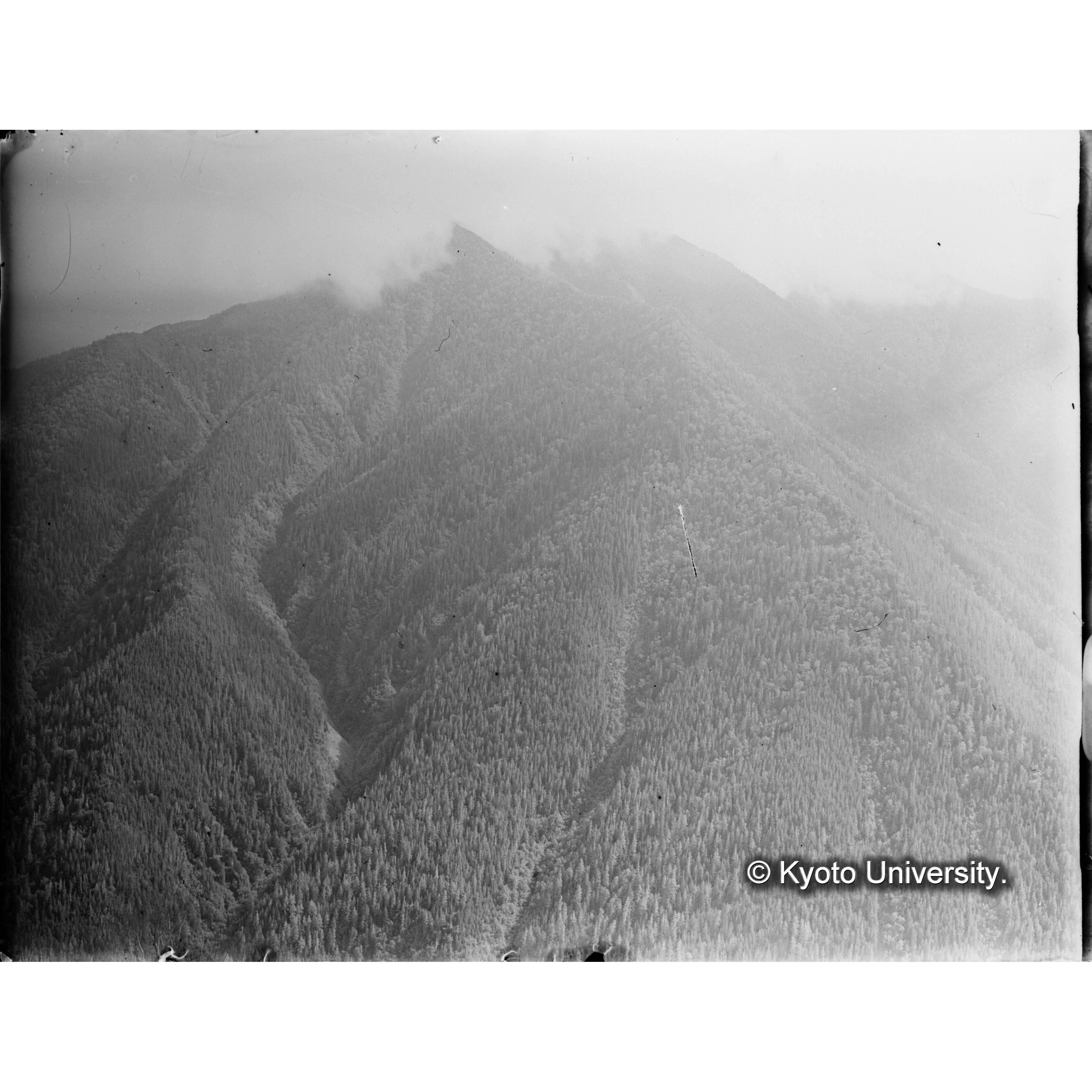 亜屯山焼跡地對岸、千輪山中ノ沢流域を望む (1)