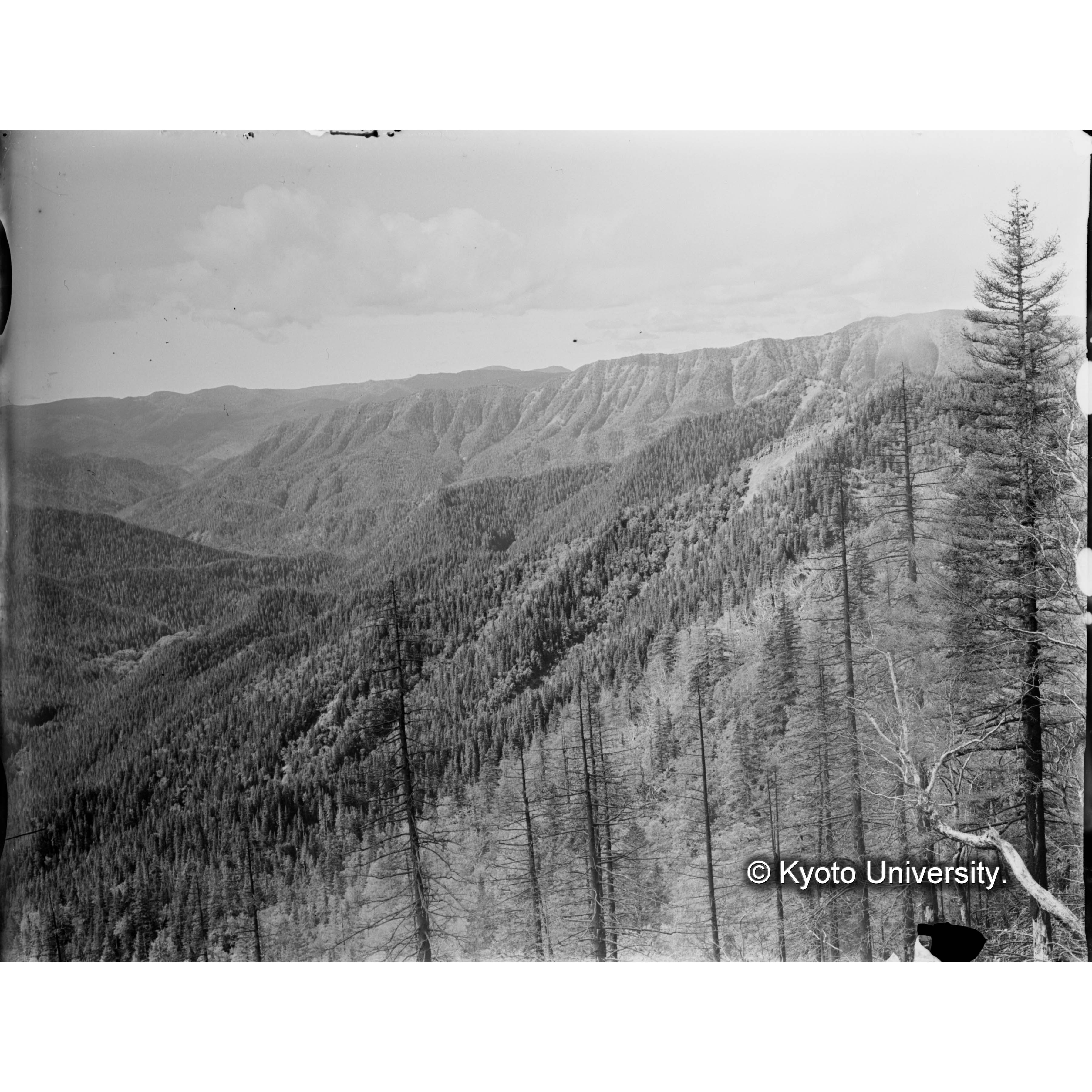 亜屯山焼跡地より亜屯川上流国有林を望む (1)