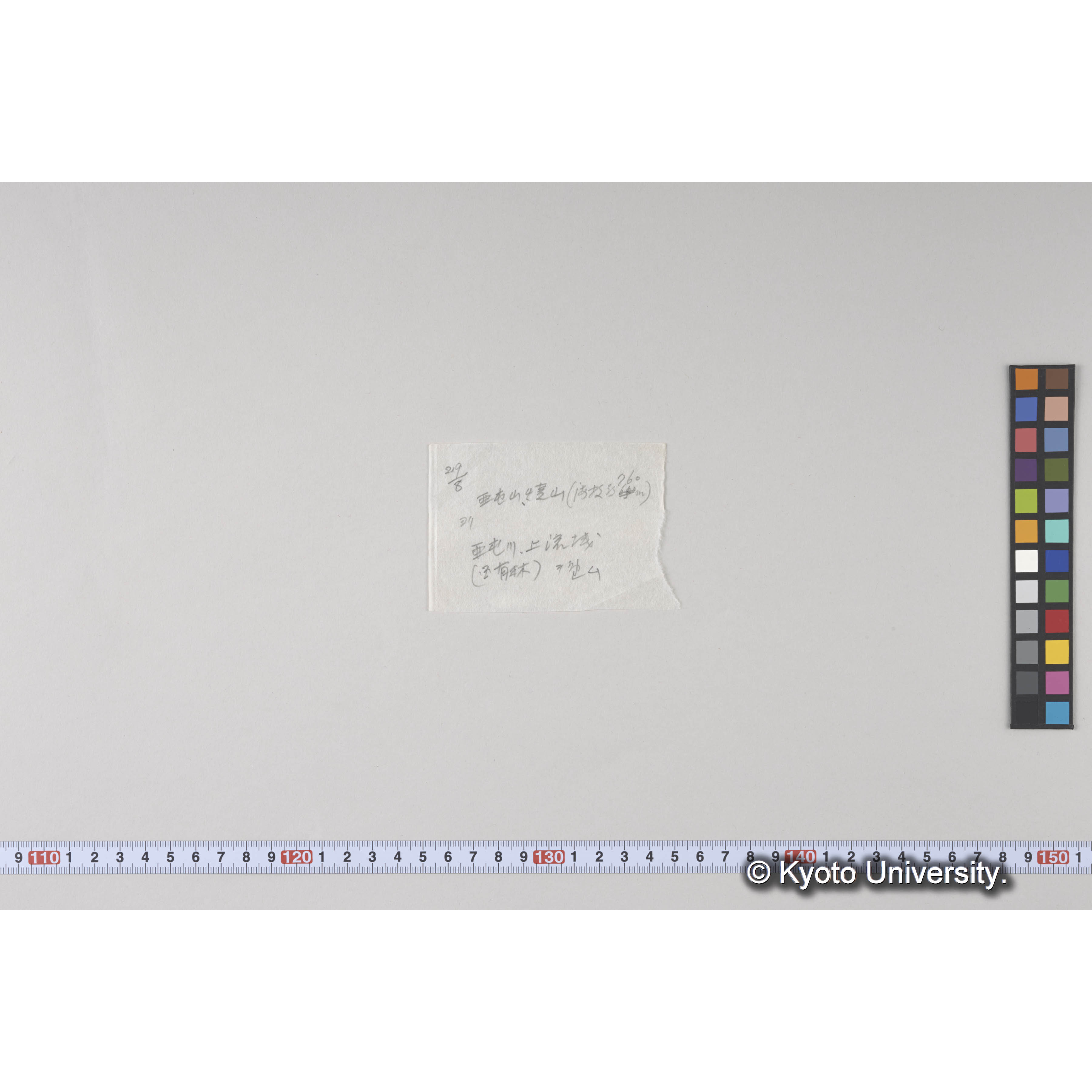 亜屯山焼跡地より亜屯川上流国有林を望む (2)