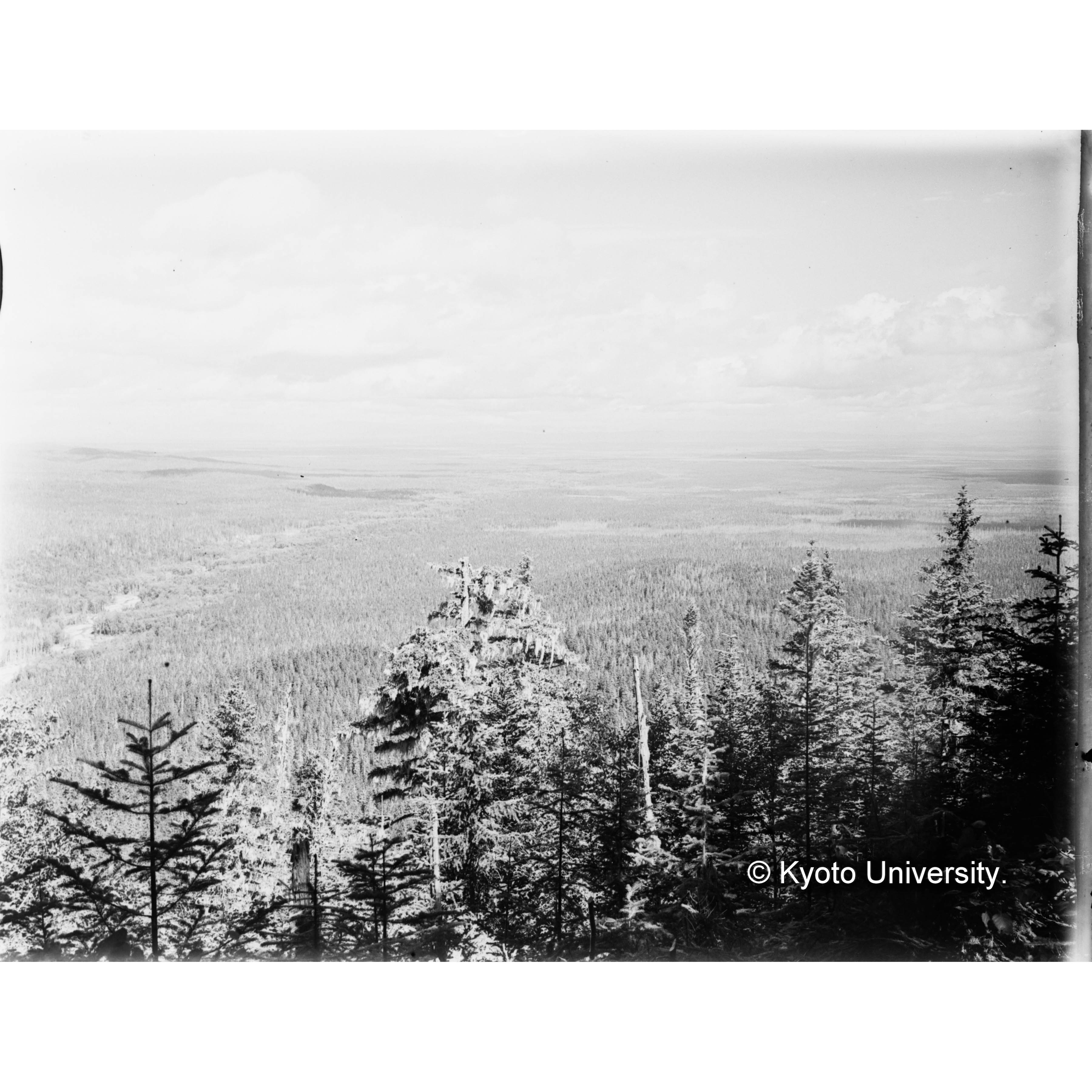 亜屯、前ノ沢流域峰通より昭和八年度焼跡地を望む (1)