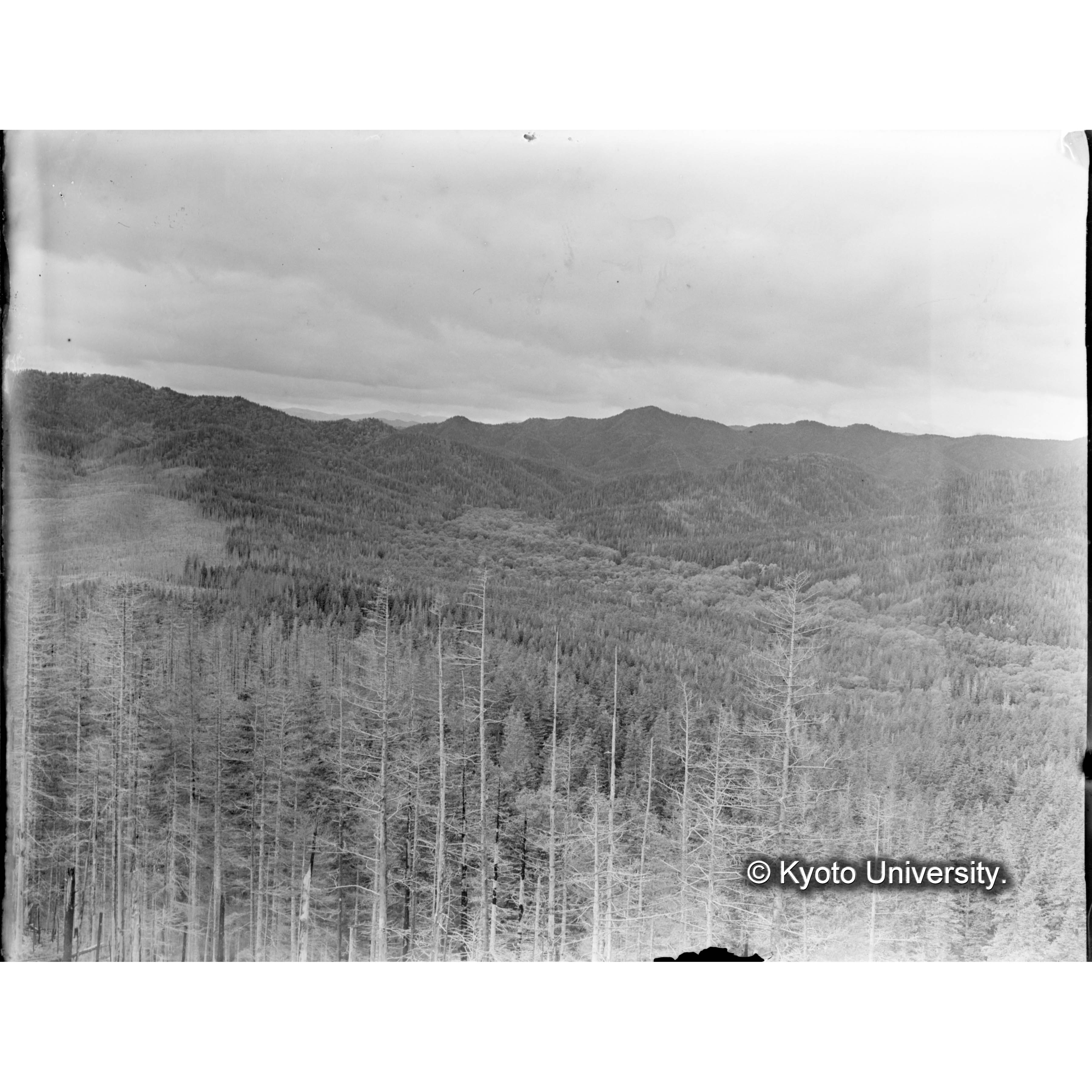 見晴望楼上よりとら川流域を望む (1)