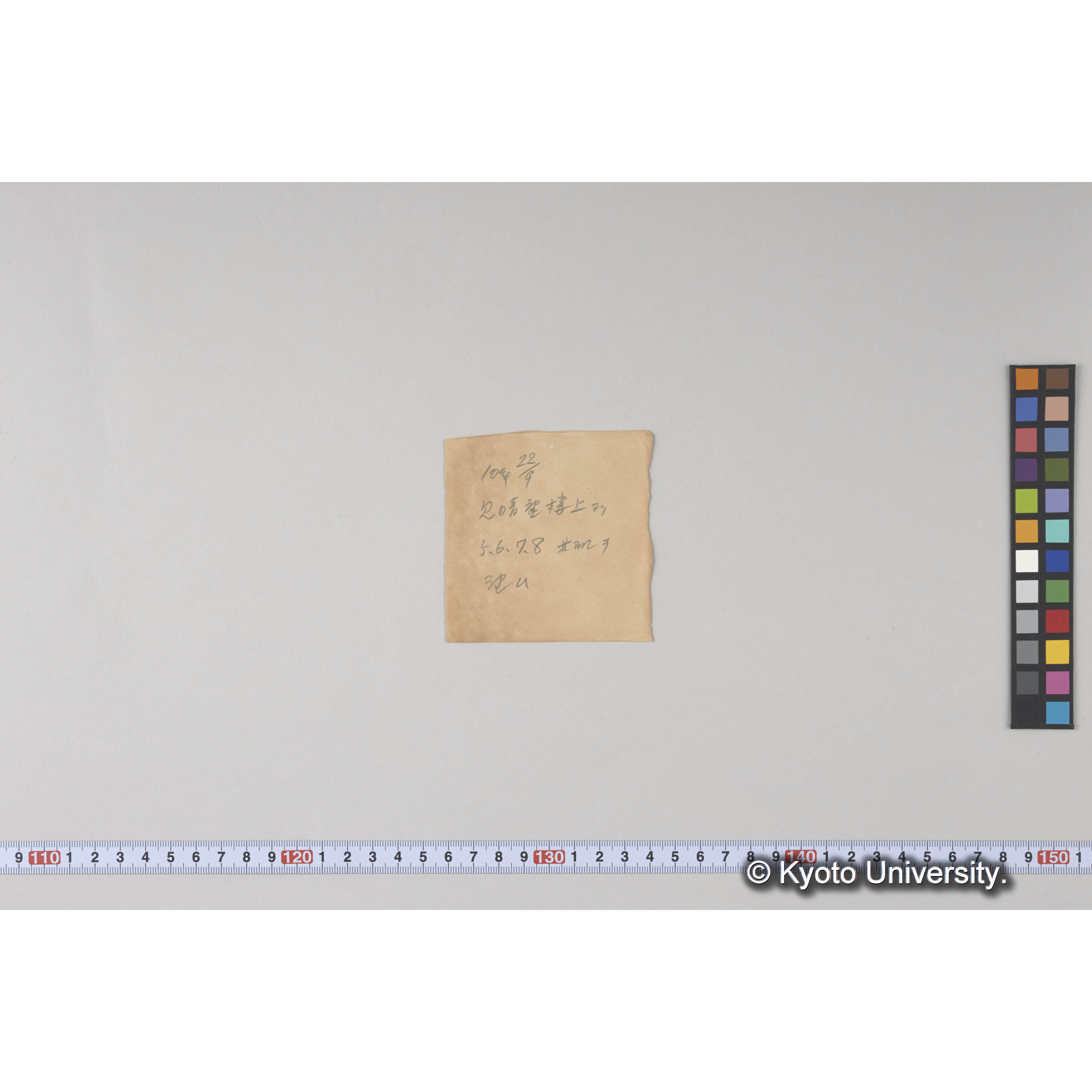 見晴望楼上よりとら川流域を望む (2)