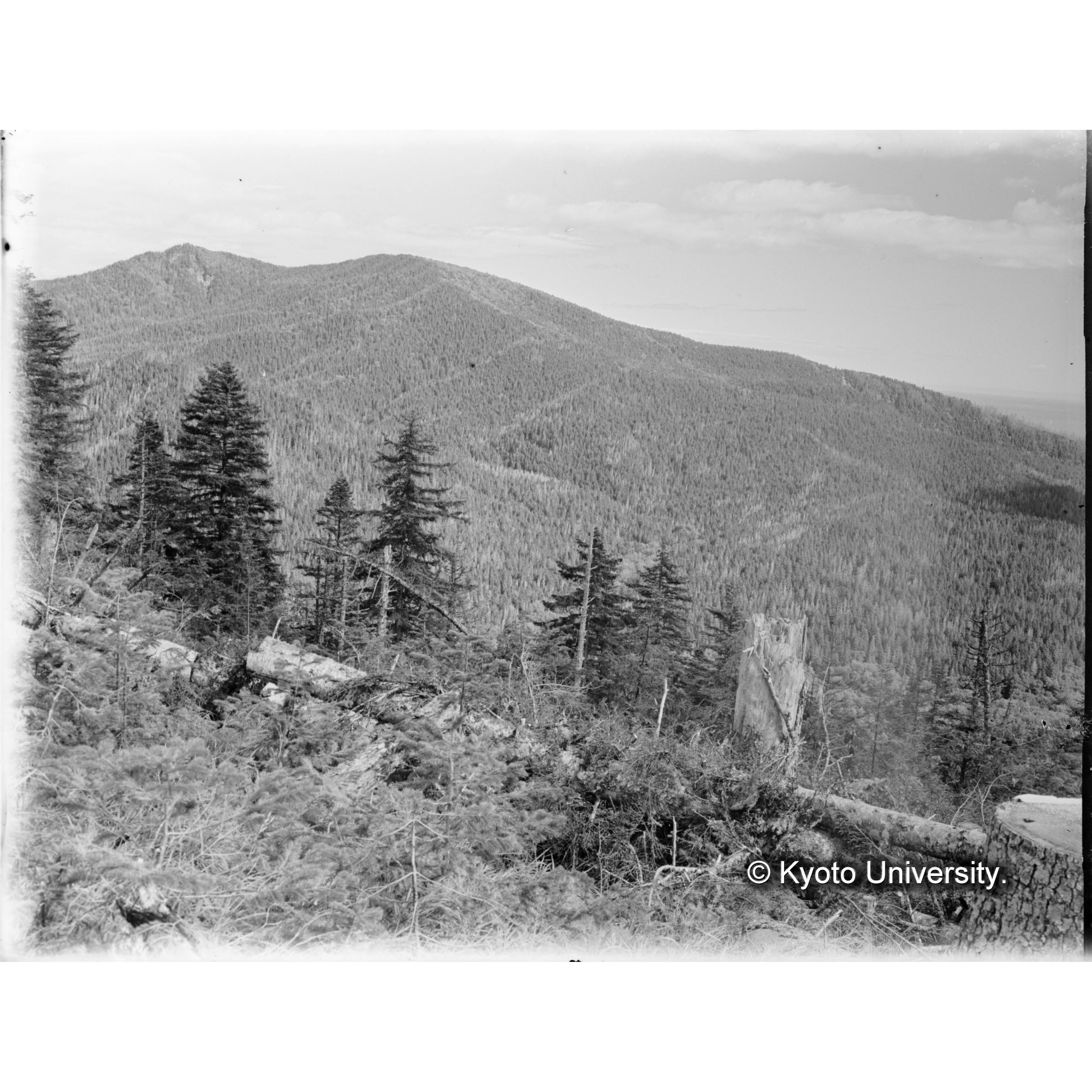 とら川、きばらり川、合流点付近中山頂上より東北方、別小走山西南面とつ川流域 (1)