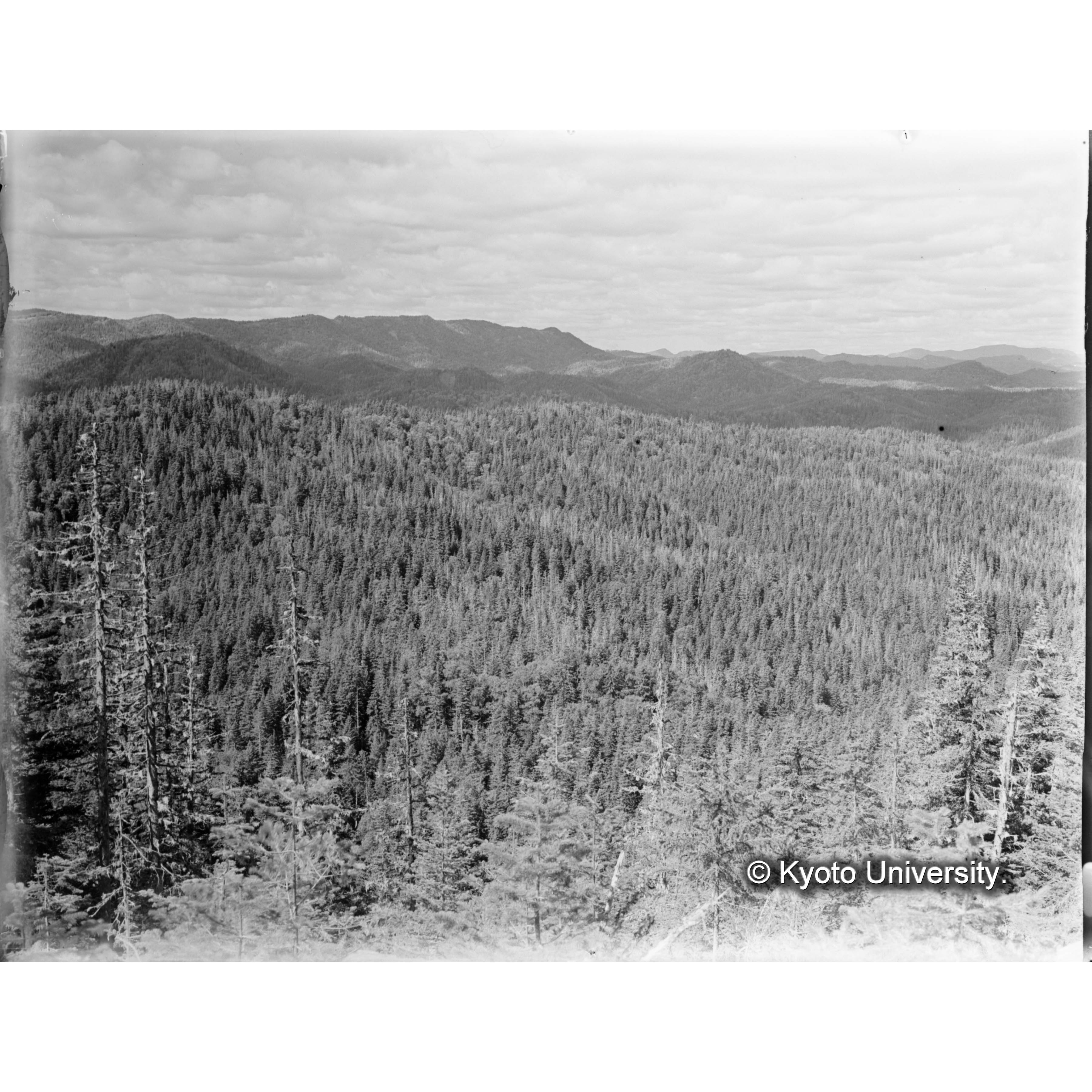 とら川、きばらり川、合流点付近中山頂上より西北方、きばらり川右岸流域 (1)