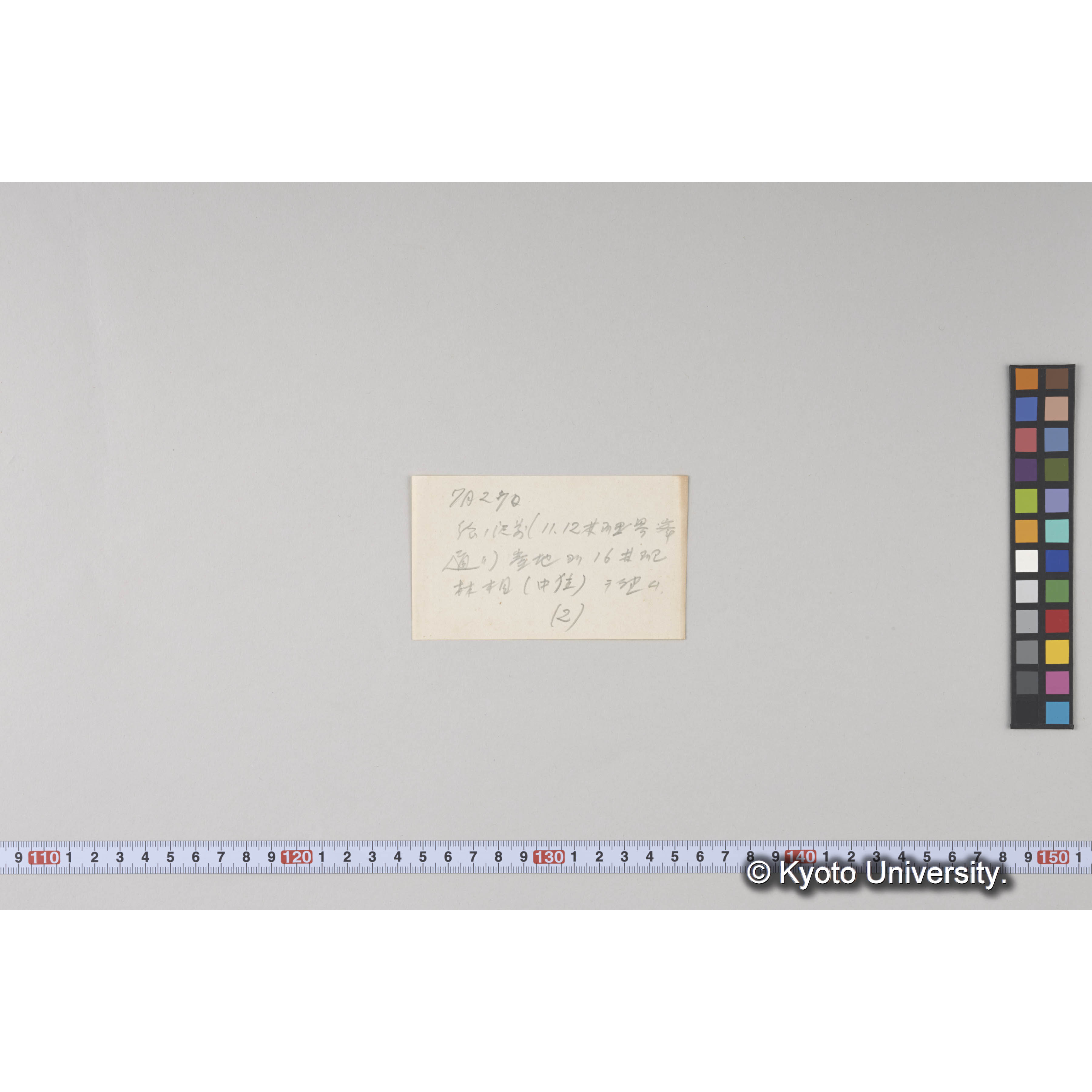 古丹岸団地。德ノ沢対岸崖地より德ノ沢流域天然林相を望む（連続写真右） (2)