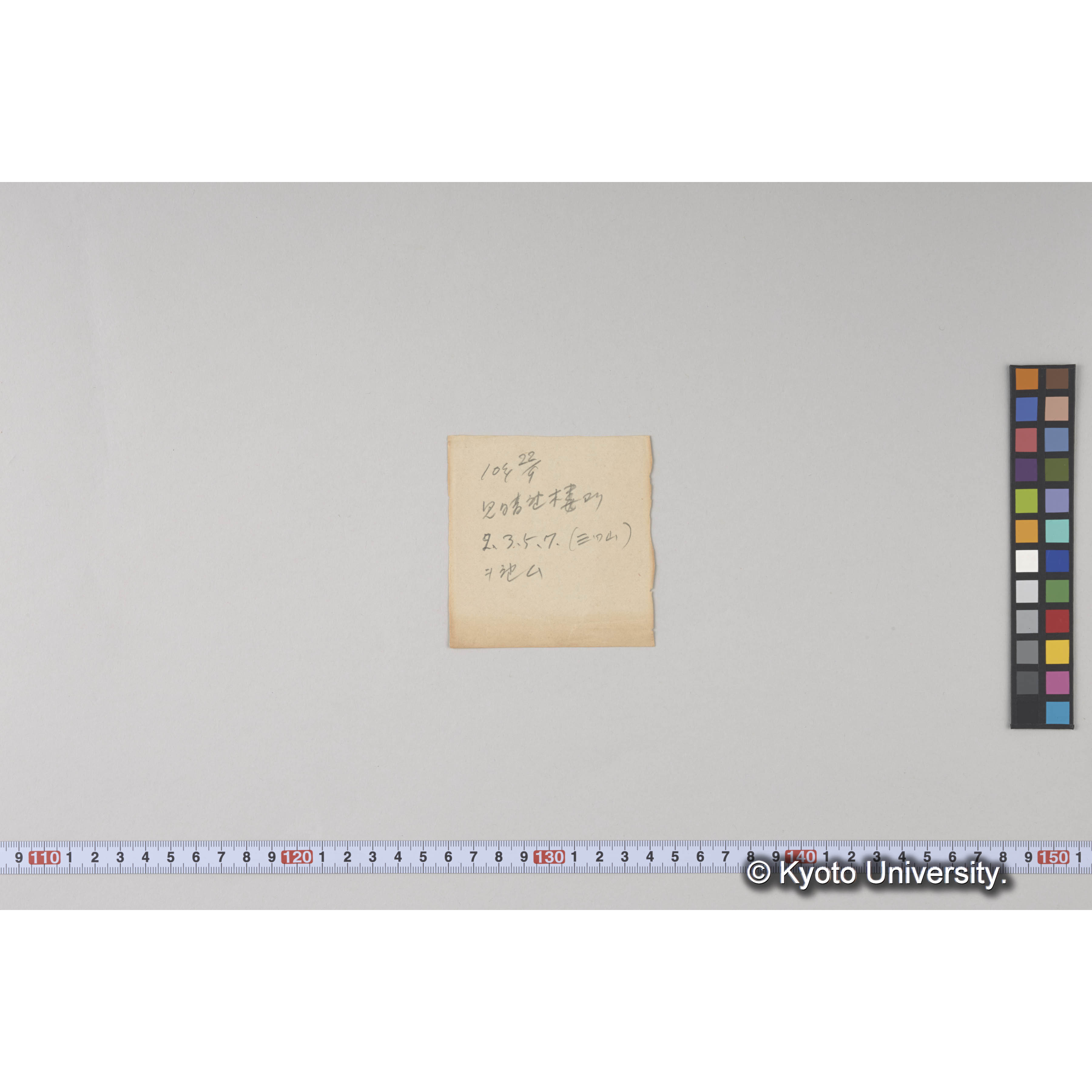 見晴望楼上より藤本川流域、焼跡地及び天然林を望む (2)