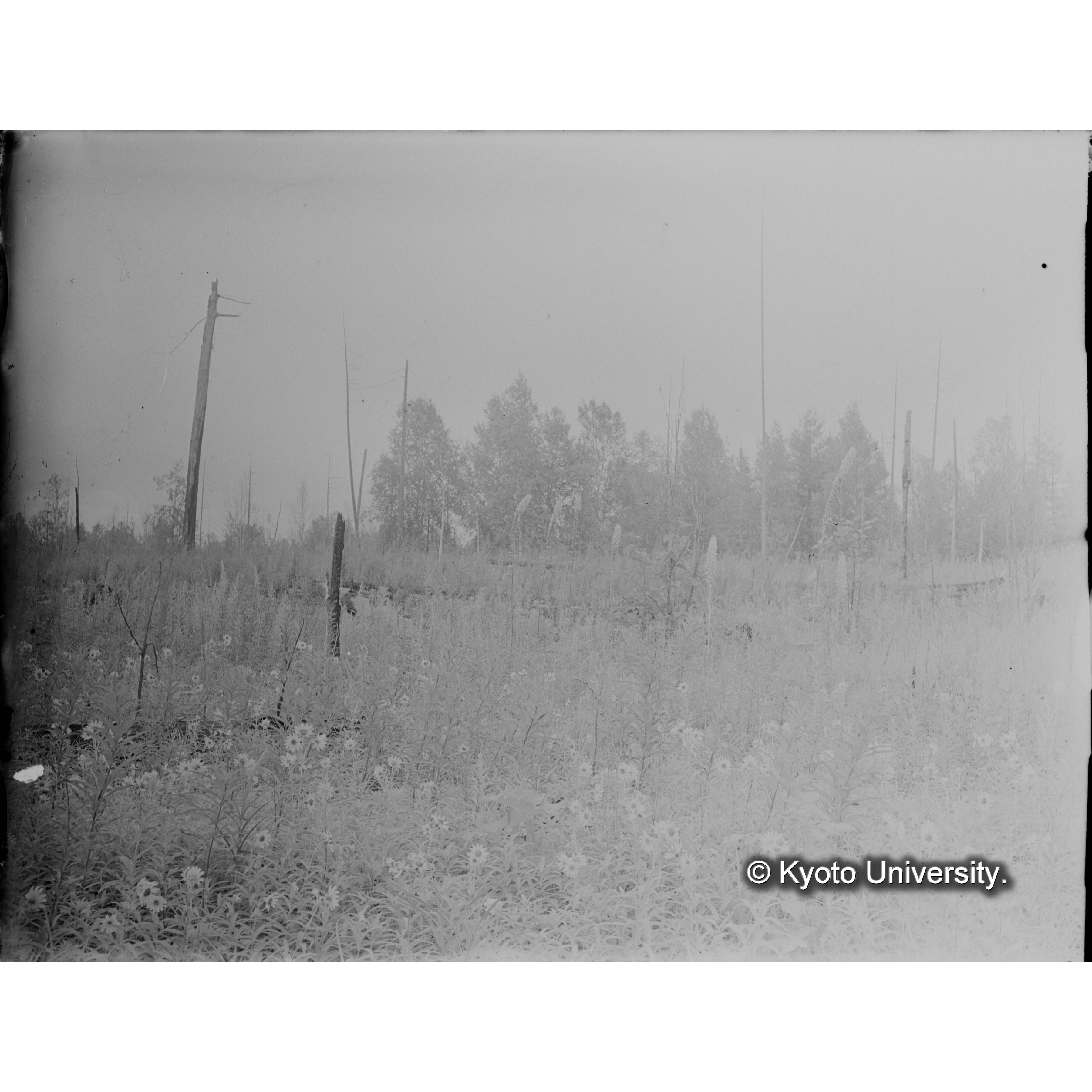 ロシア領時代の焼跡地 (1)