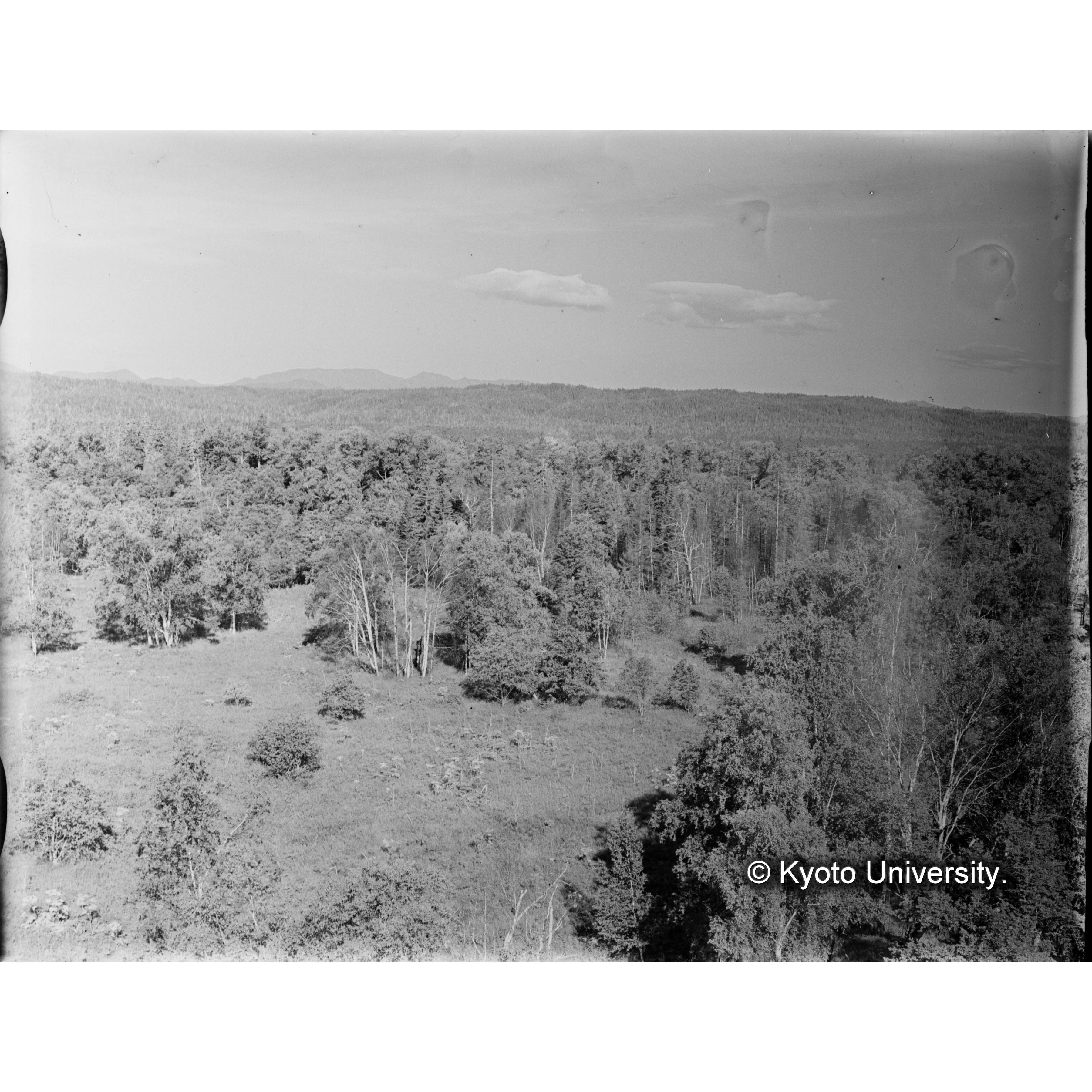 亜屯望楼上より亜屯川畔、闊葉樹林日暮沢流域及北方グイマツ林を望む (1)