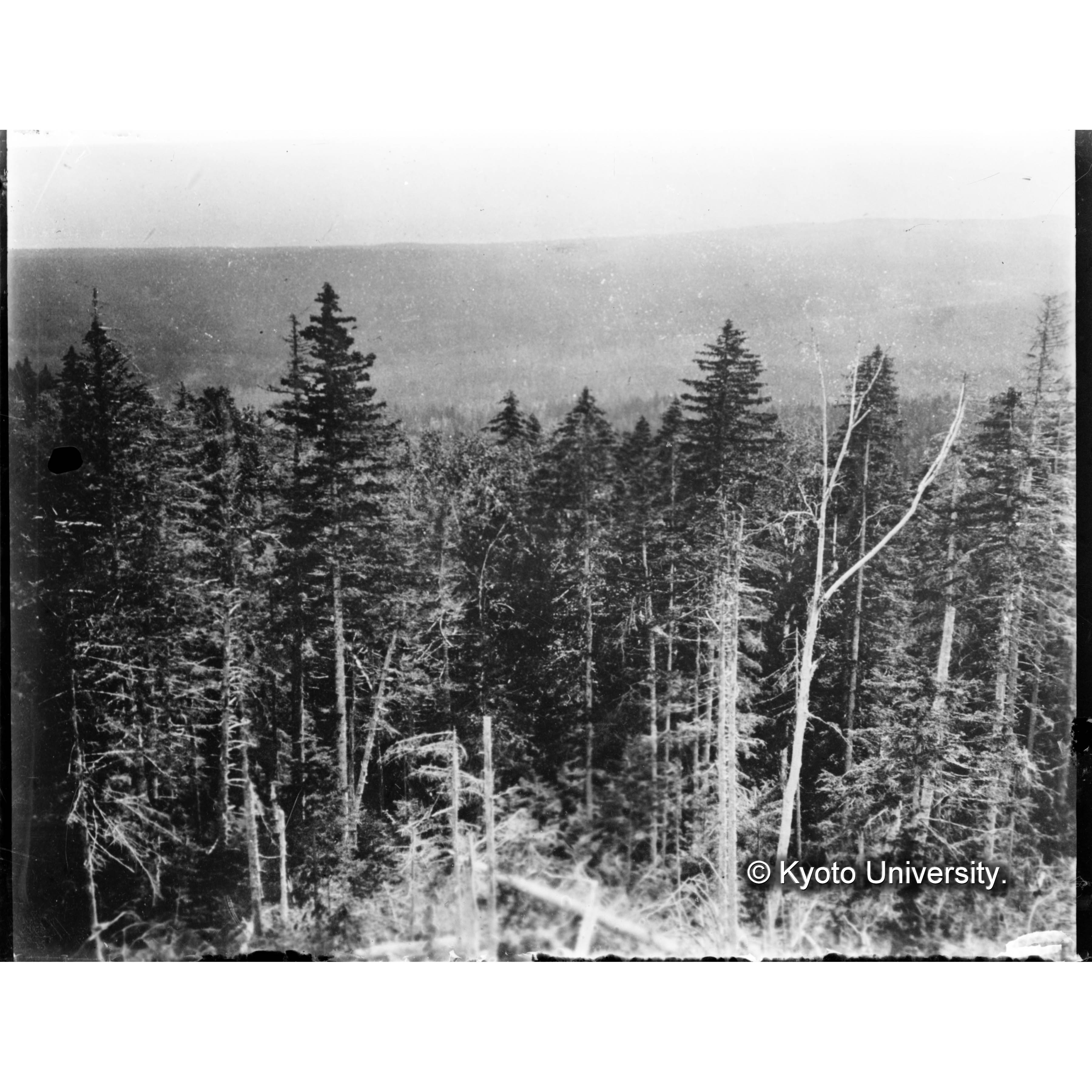 見晴台より東望。遙かに楠山の台地を望む (1)