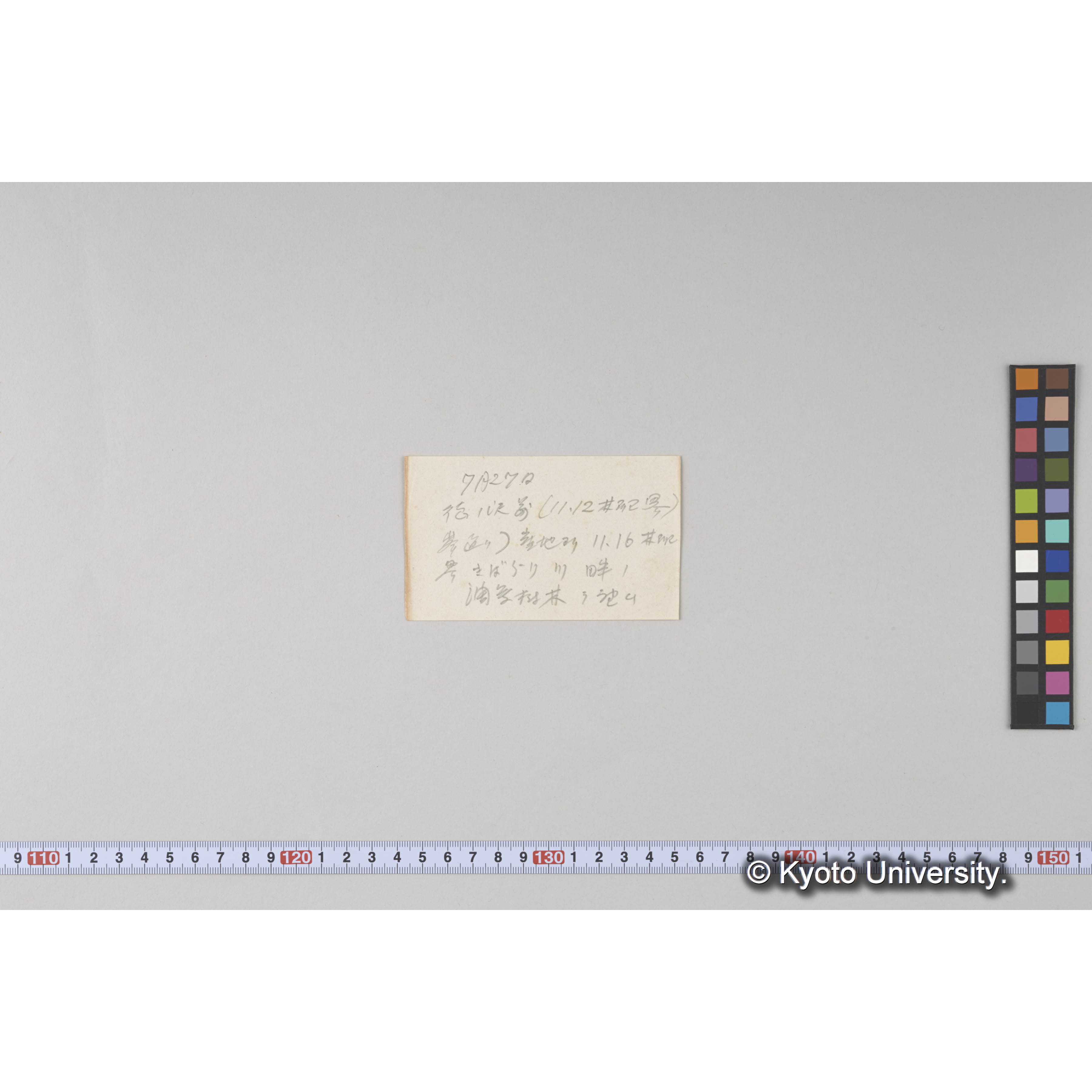 鴨ノ沢、上流域峰通りより対岸南面林相 (2)