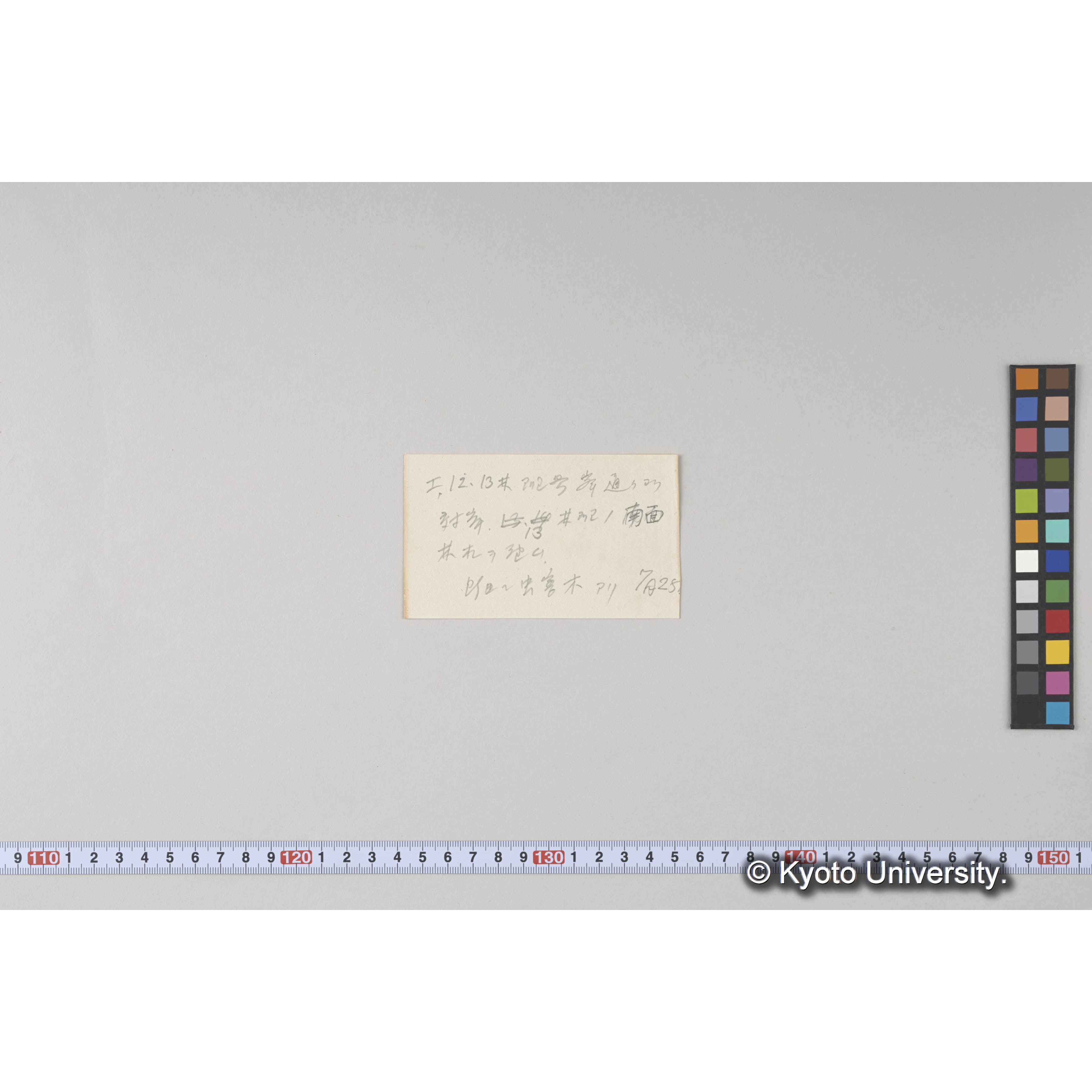 えぞまつ、とどまつ、そうしかんば混交じ天然林 (2)