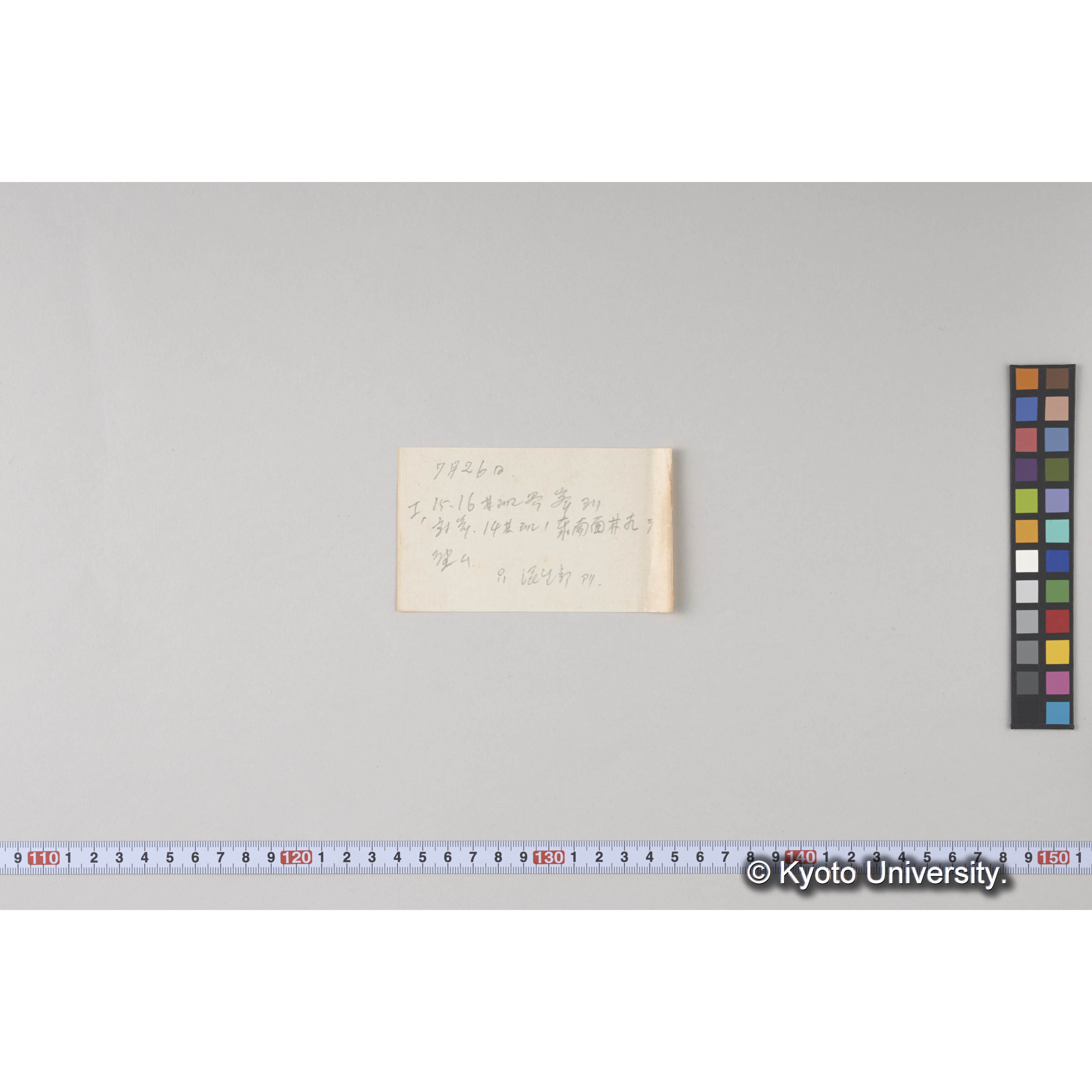 えぞまつ、とどまつ混交天然林 (2)