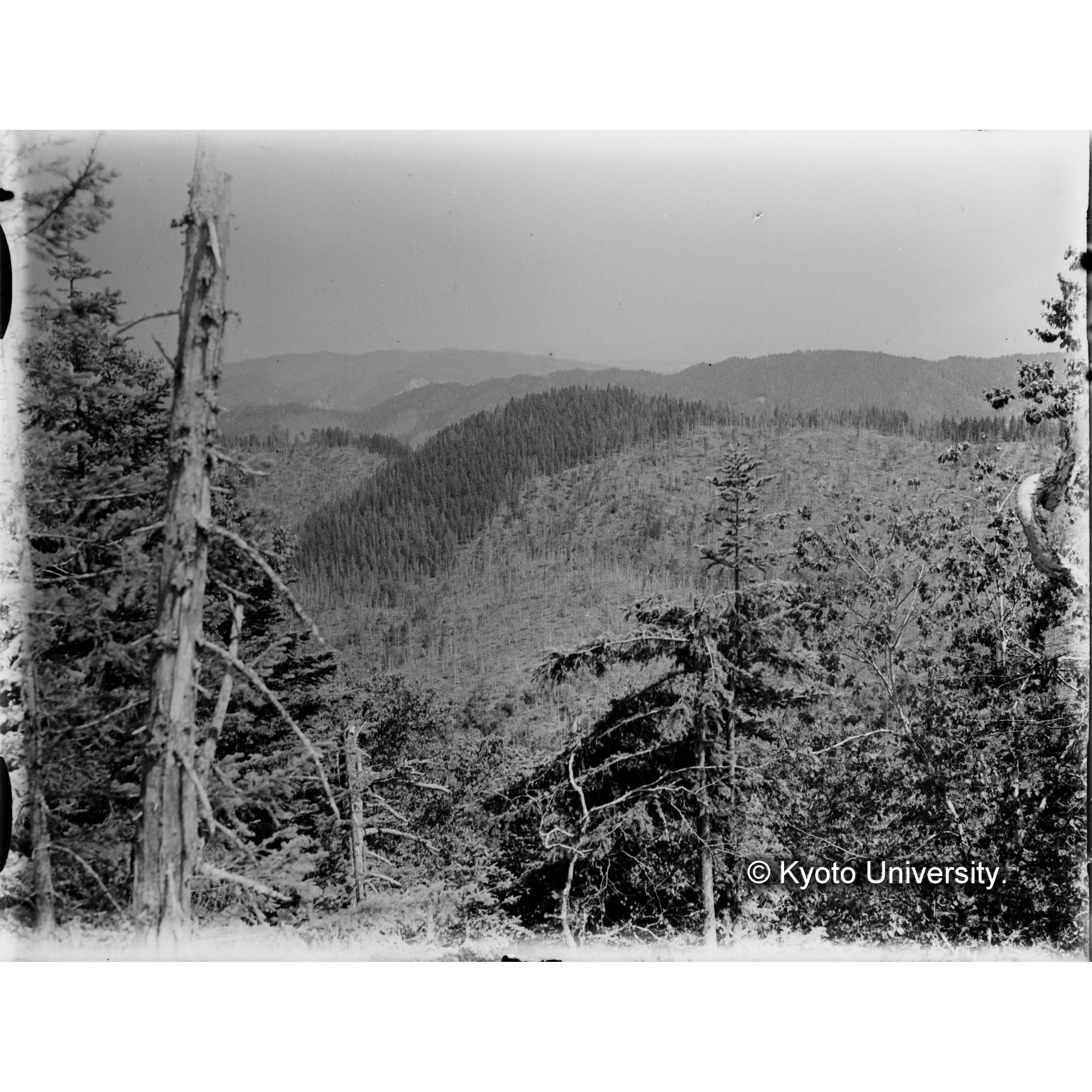 きばらり川東股。上流域三角点より演習林に接する内路、国有林、皆伐跡地を望む (1)