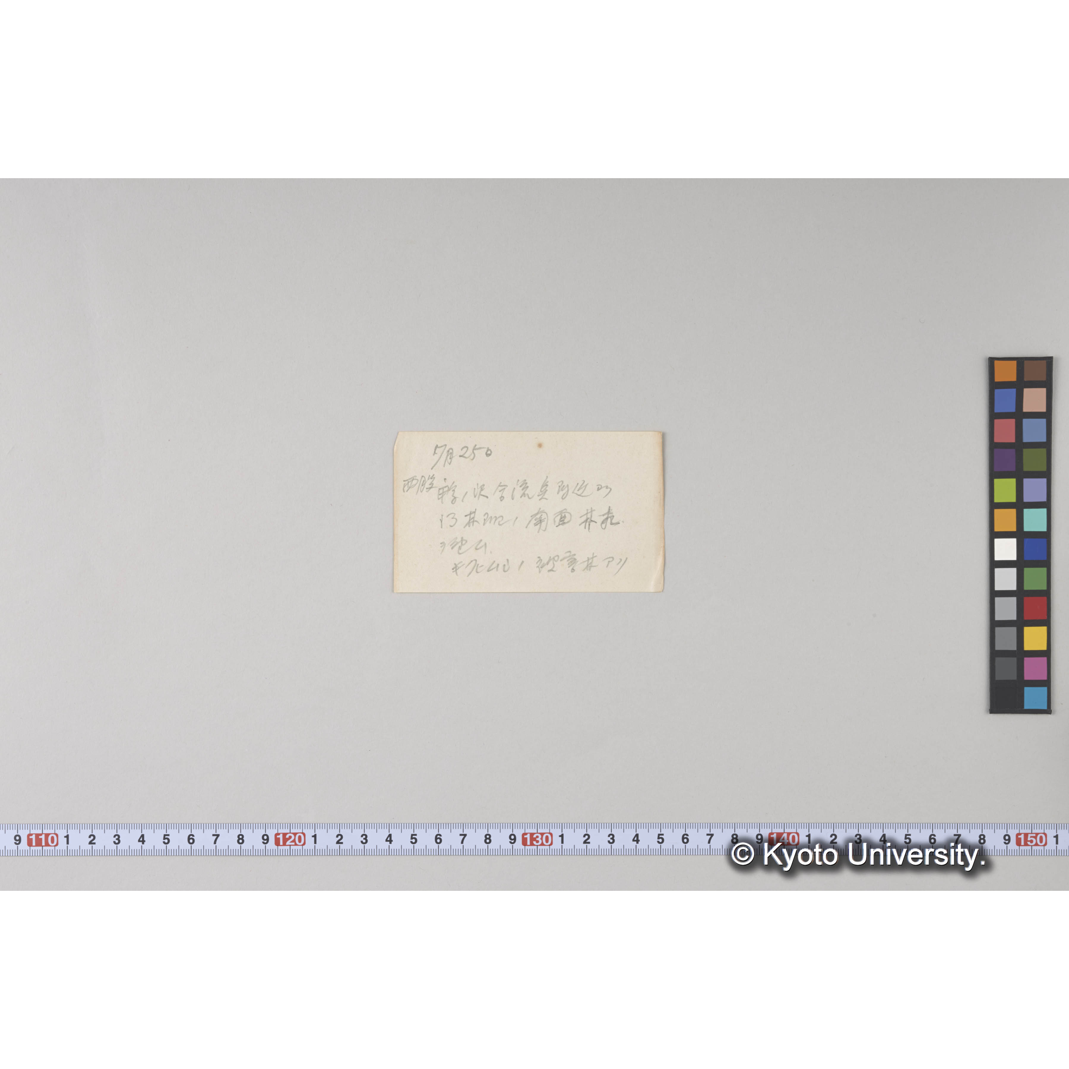 きばらり川東股。三角点より 德ノ沢背面－西北面林相－及別小走山を望む (2)