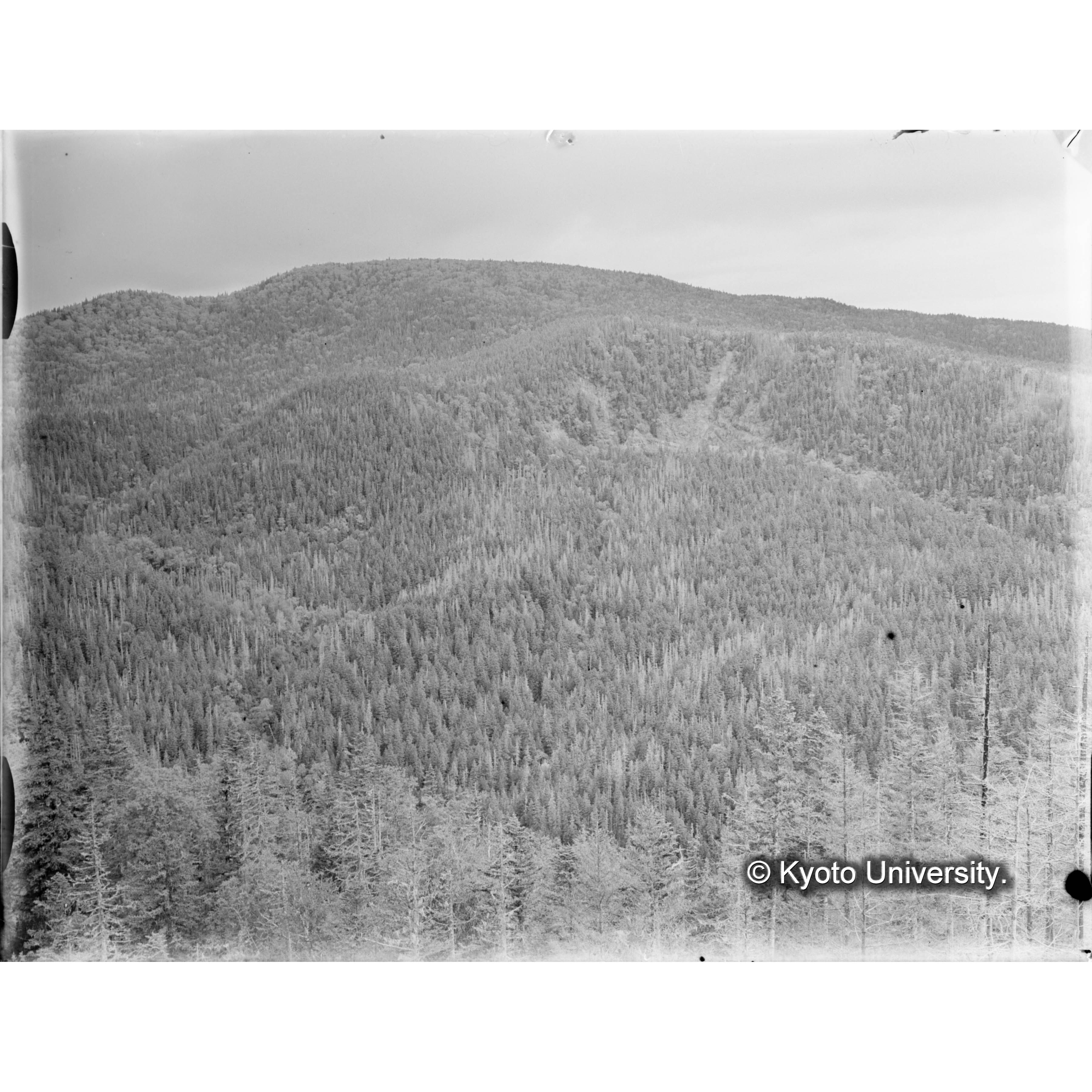 見晴望楼より別小走山を望む (1)