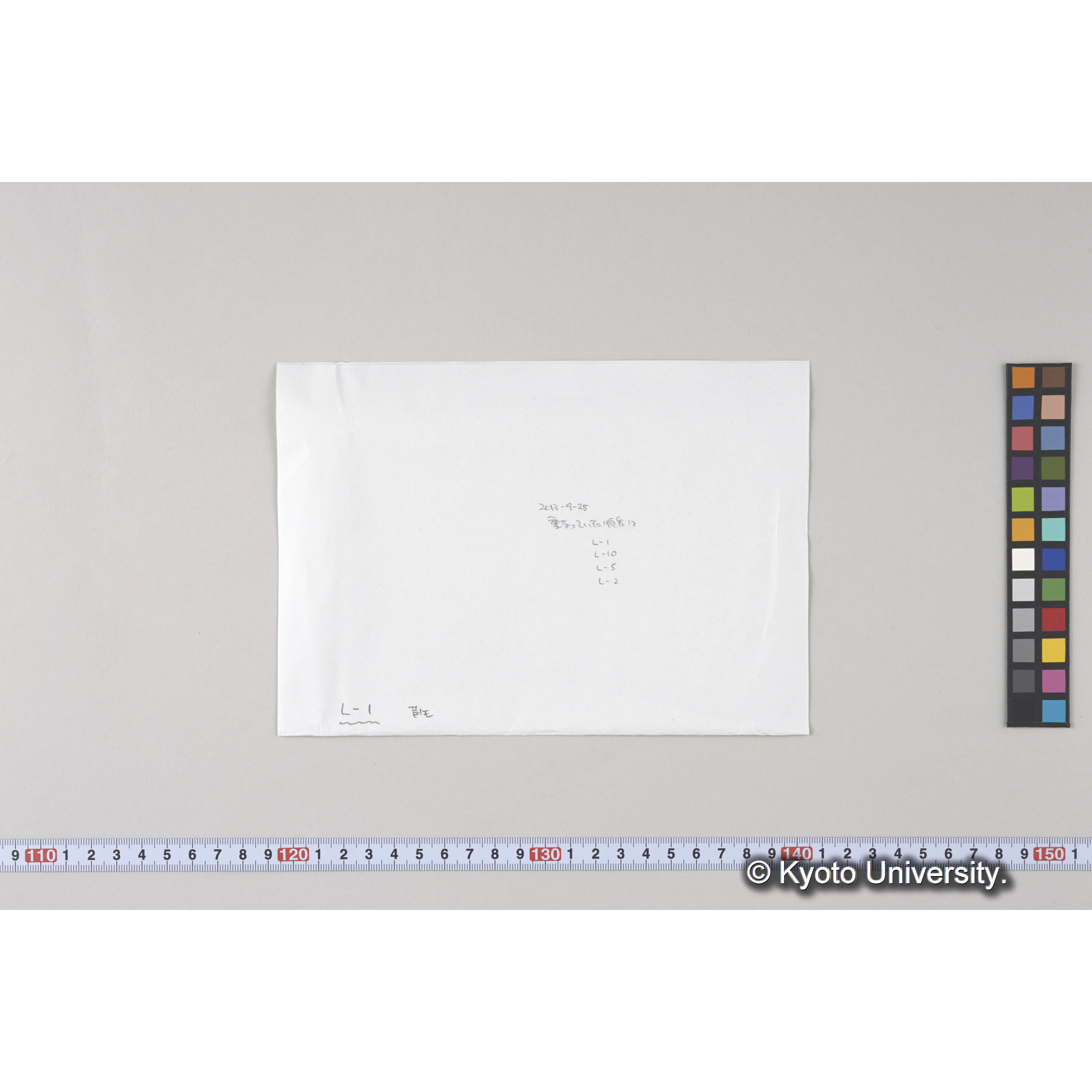 伏條により杉の自然に生育する状況（芦生演習林） (2)