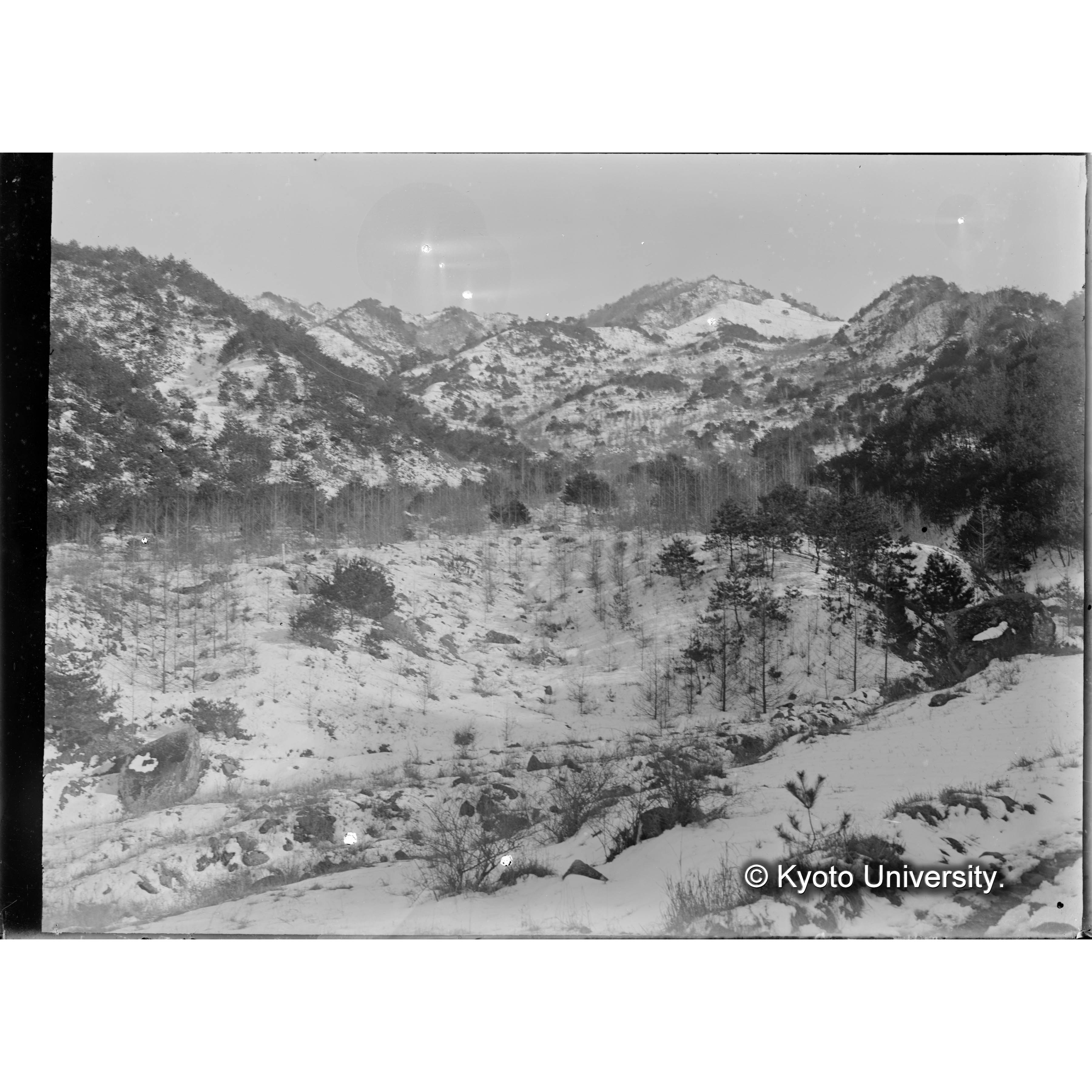 朝鮮慶尚南道所在朝鮮演習林落葉松造林地 (1)