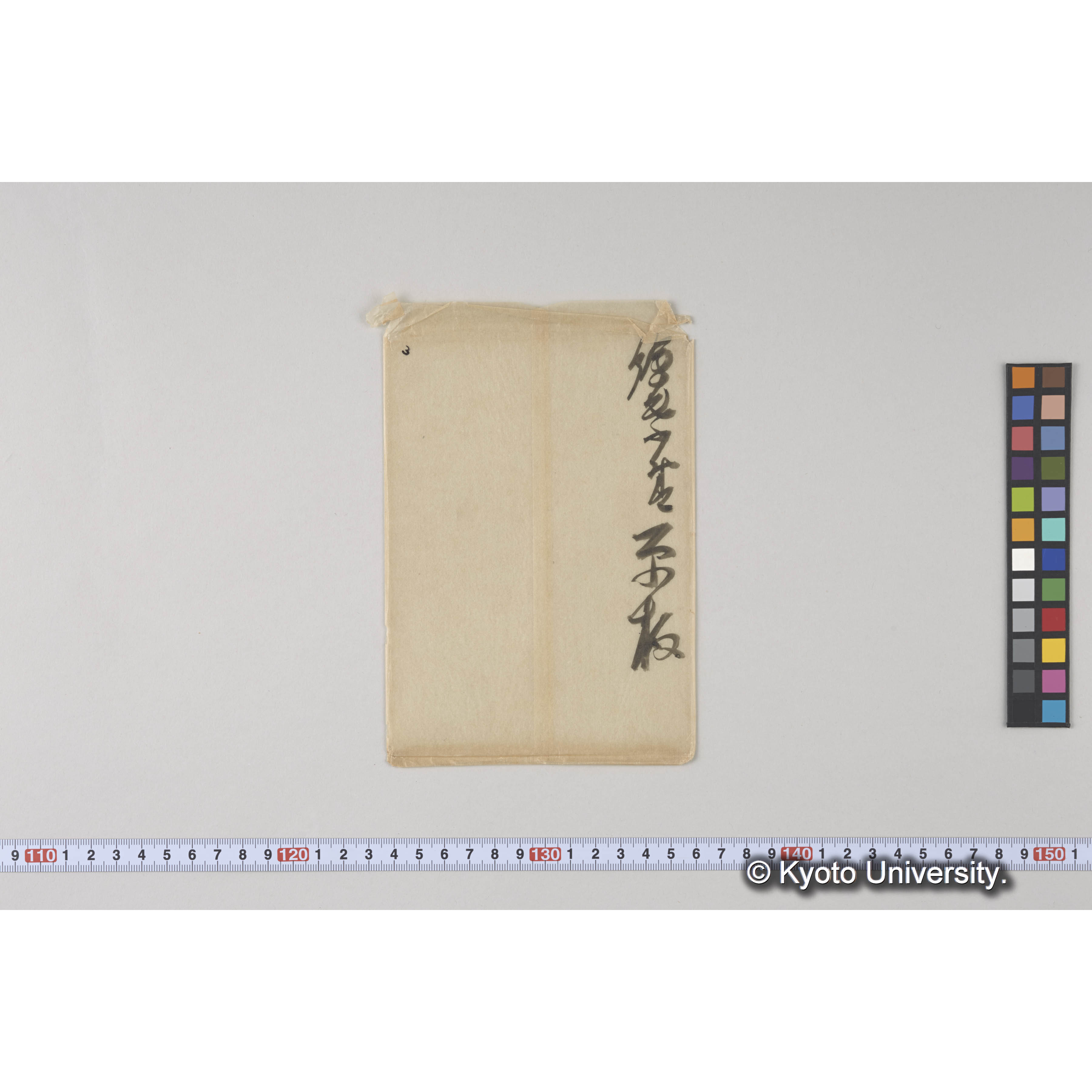 朝鮮演習林 栗造林地 (3)