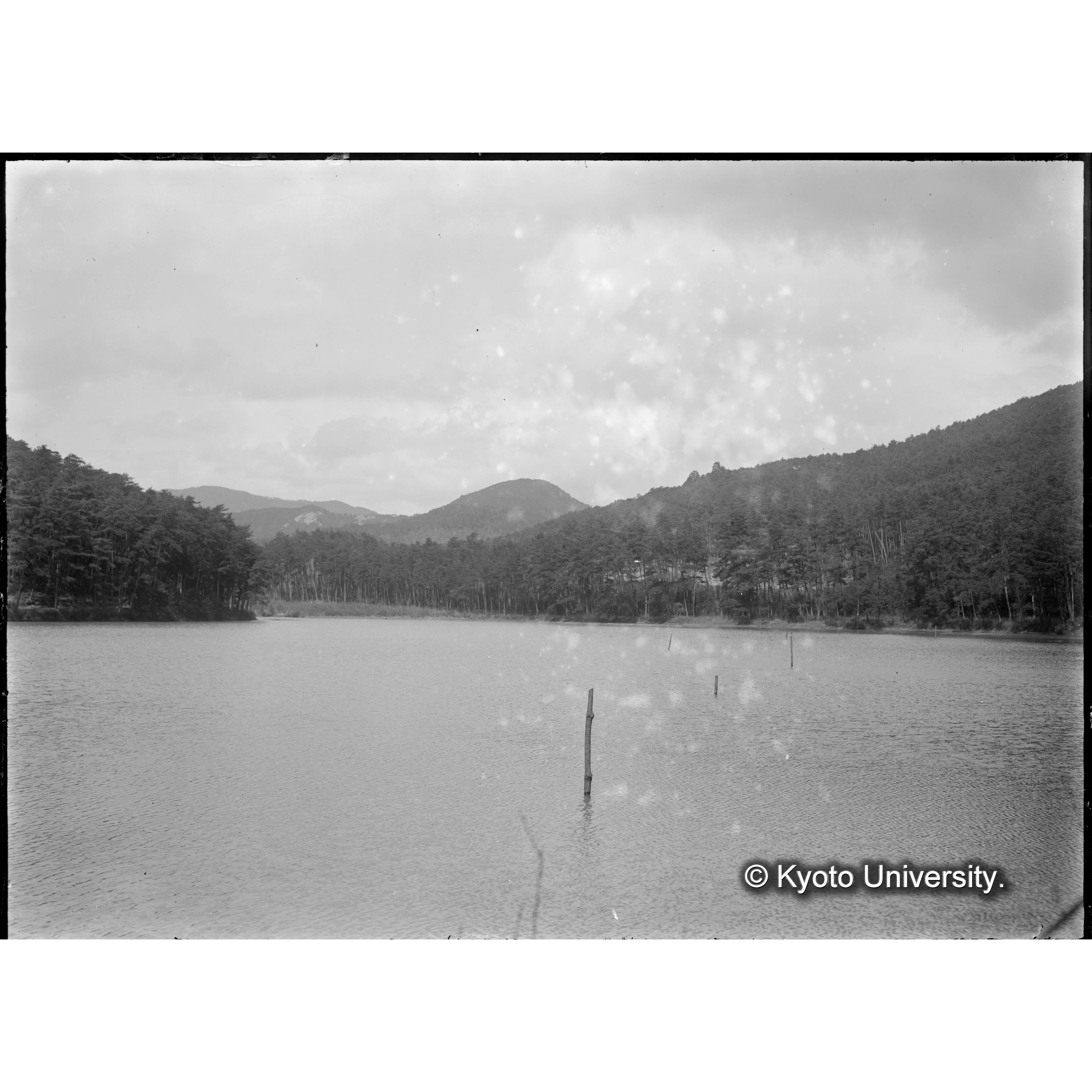 〔上賀茂試験地前小池〕 (1)