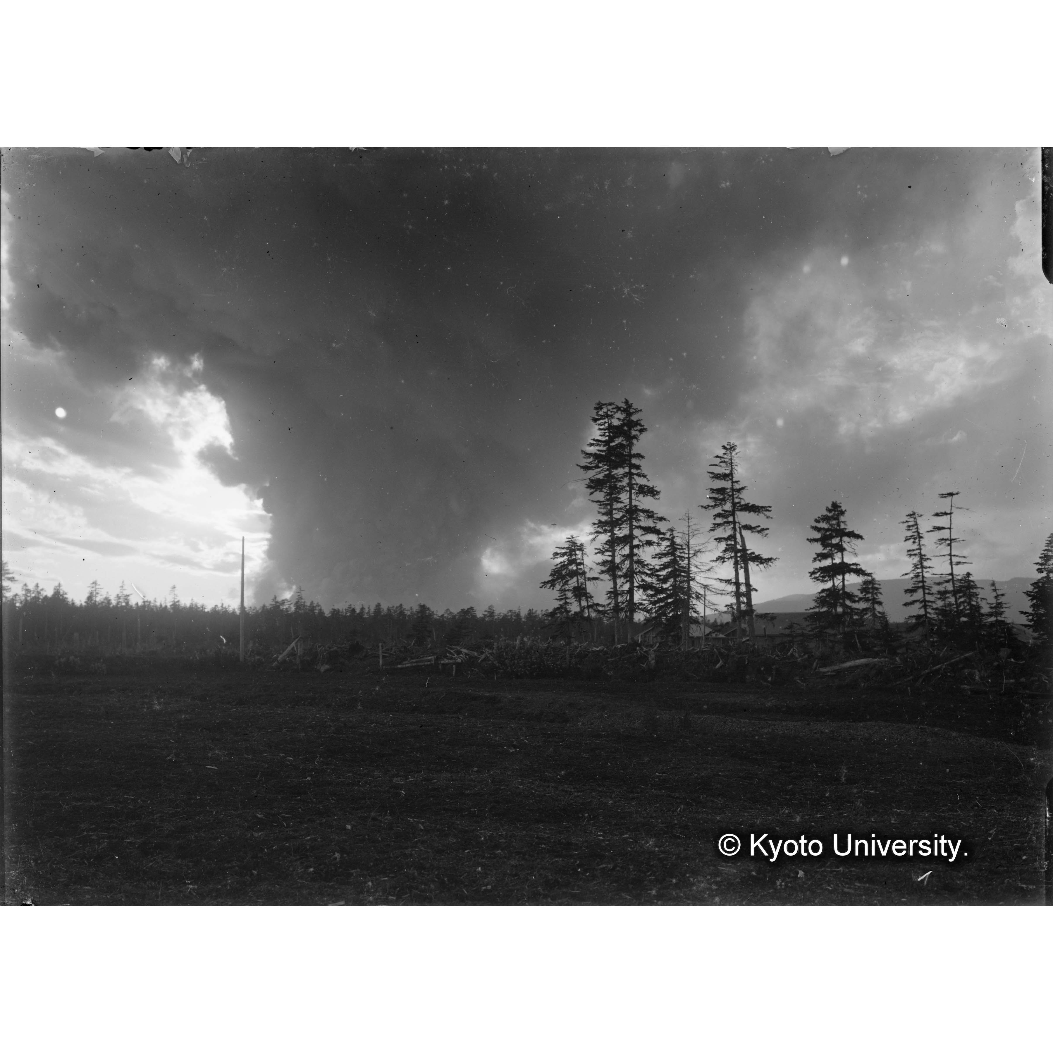樺太演習林の山火事 (1)
