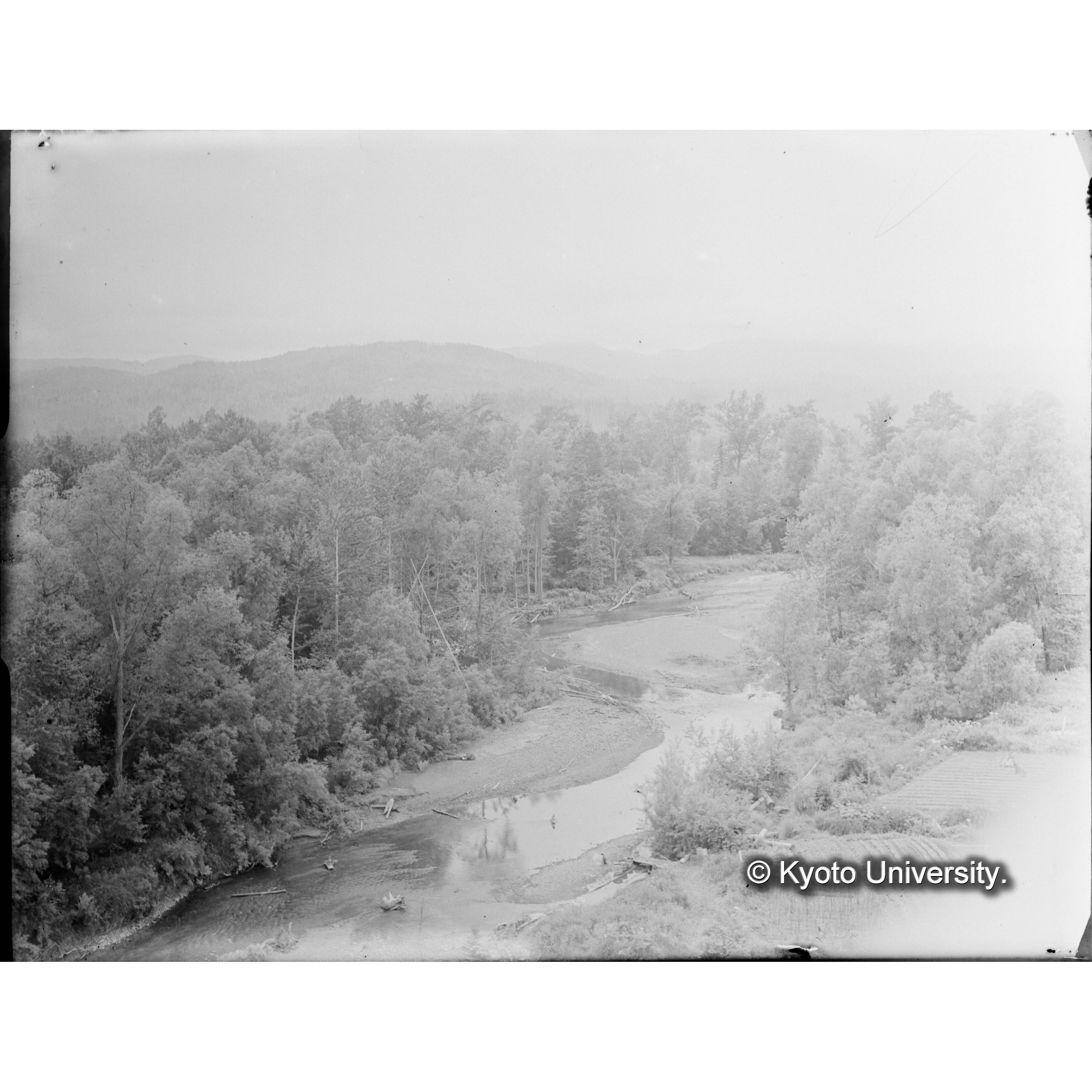 楠山作業所の望樓上より古丹岸川と柳保存林の一部を俯瞰 (1)