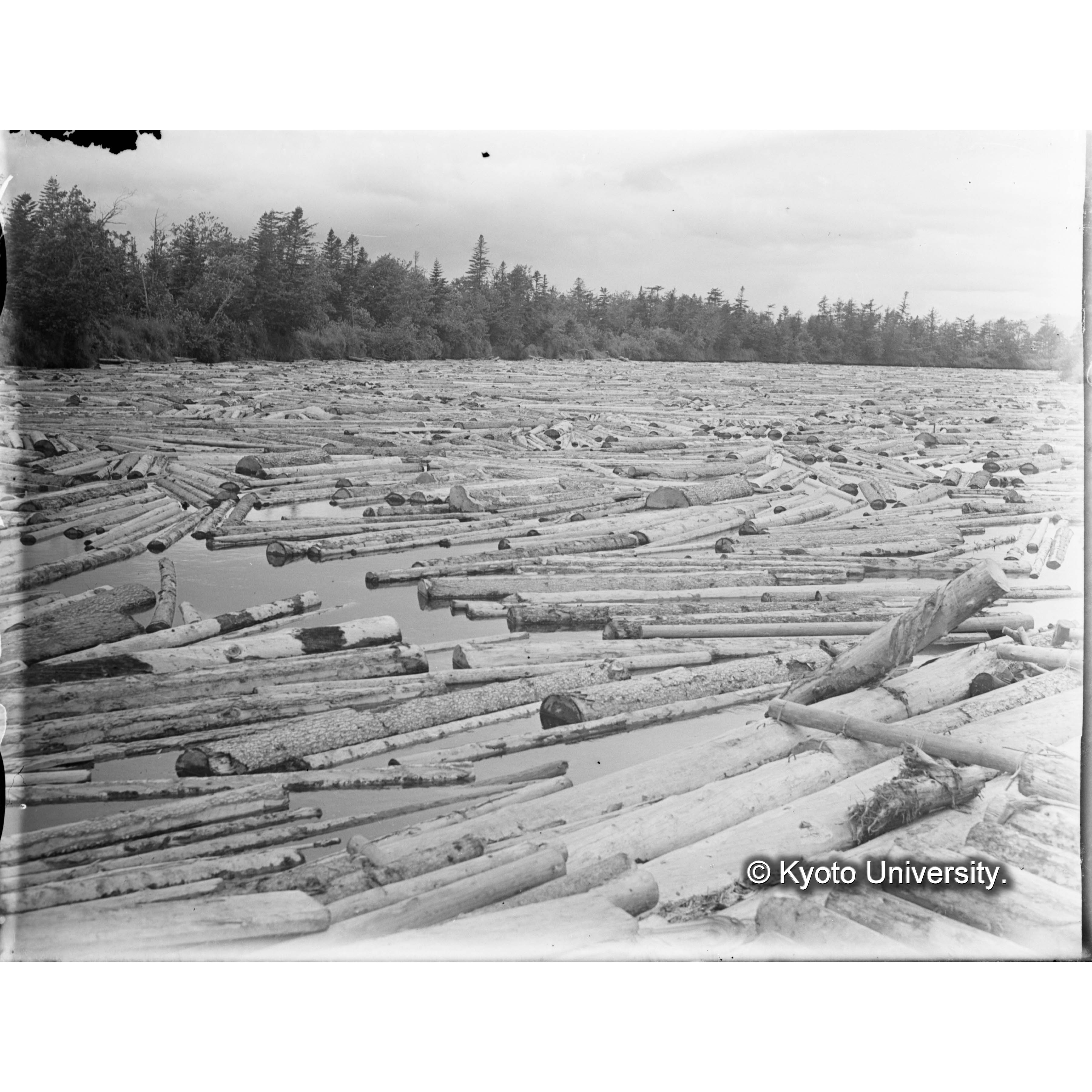 （ガラス乾板O-14） (1)