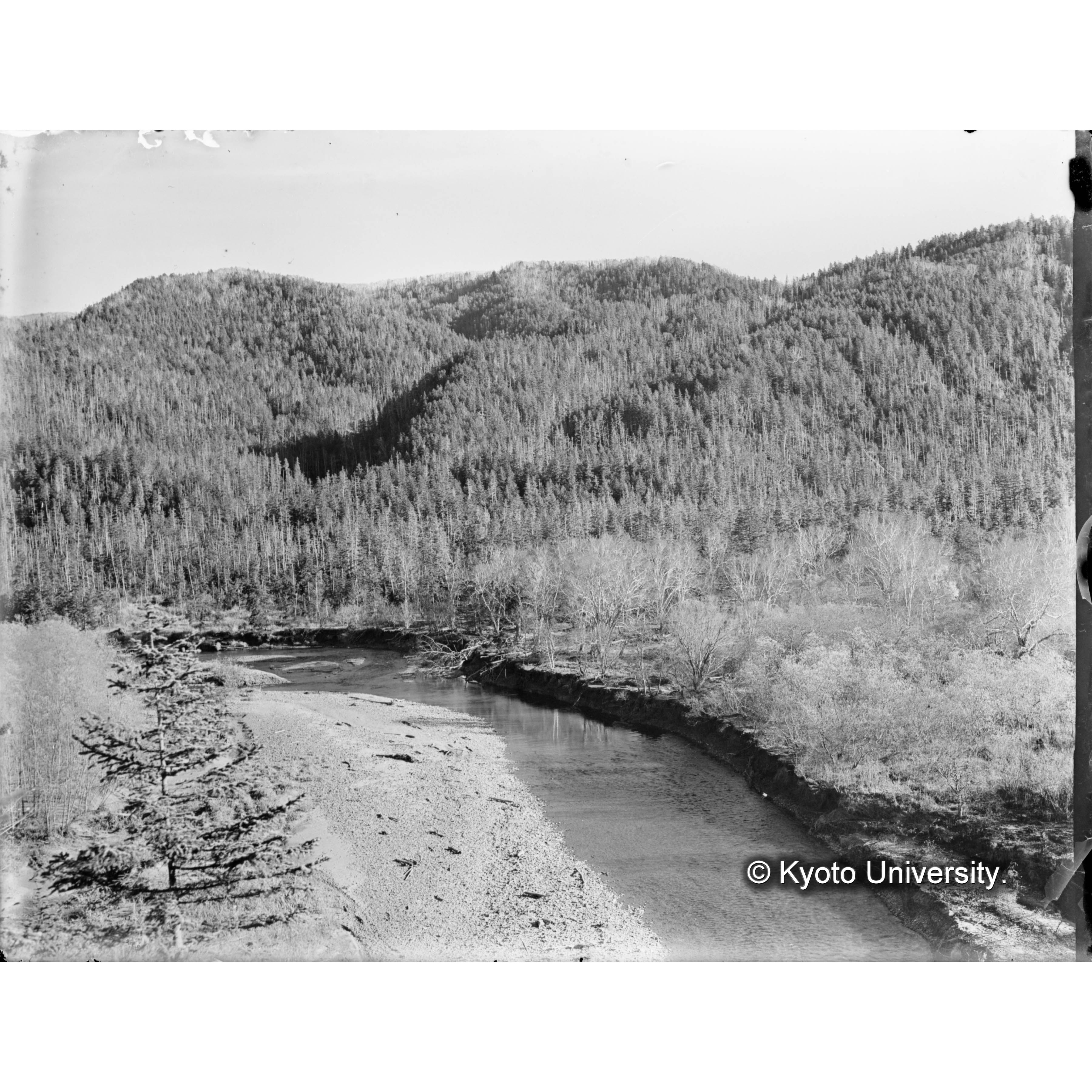 （ガラス乾板O-16） (1)