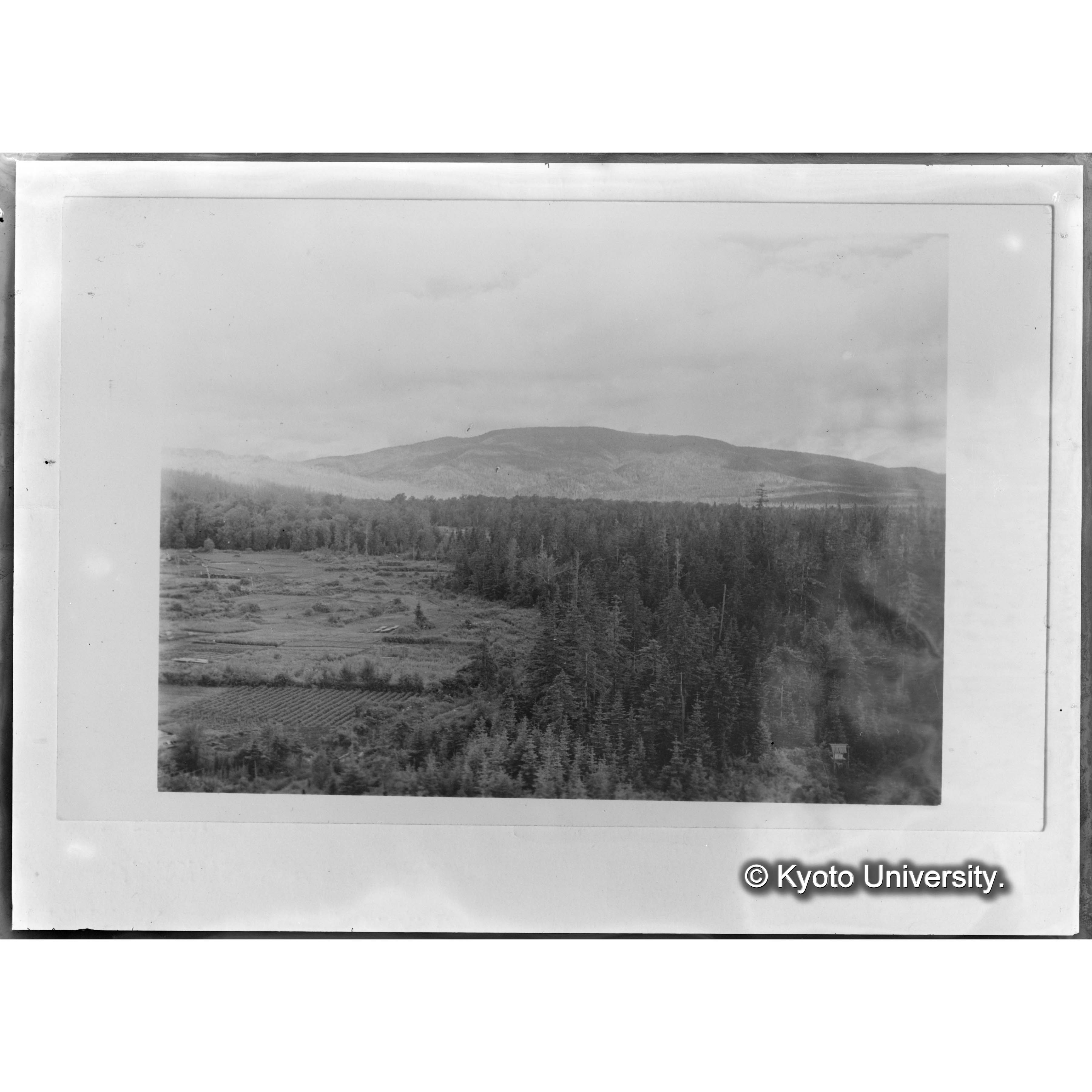 楠山作業所より別小走山を望む (1)