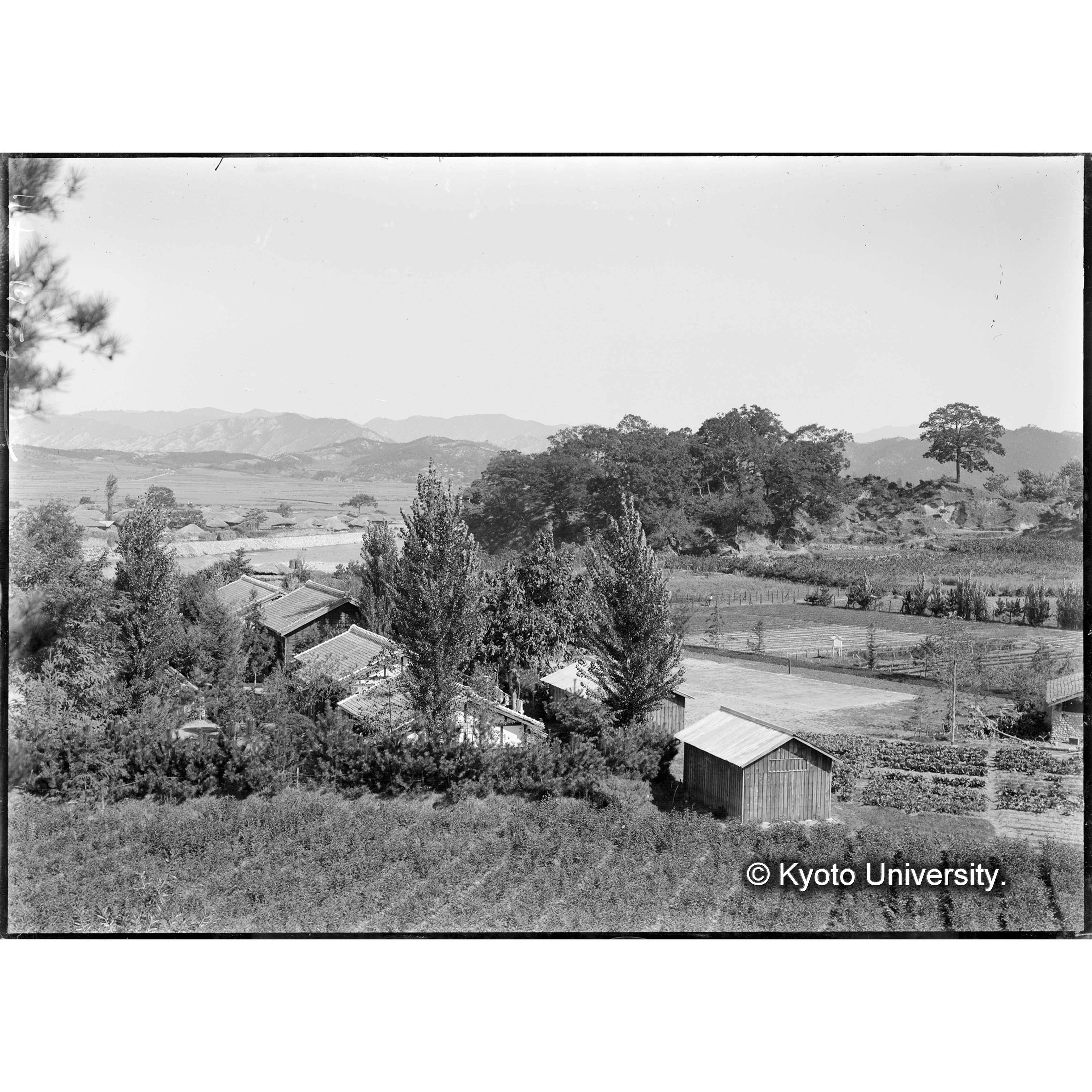 咸陽邑外の事務所及苗圃 (1)