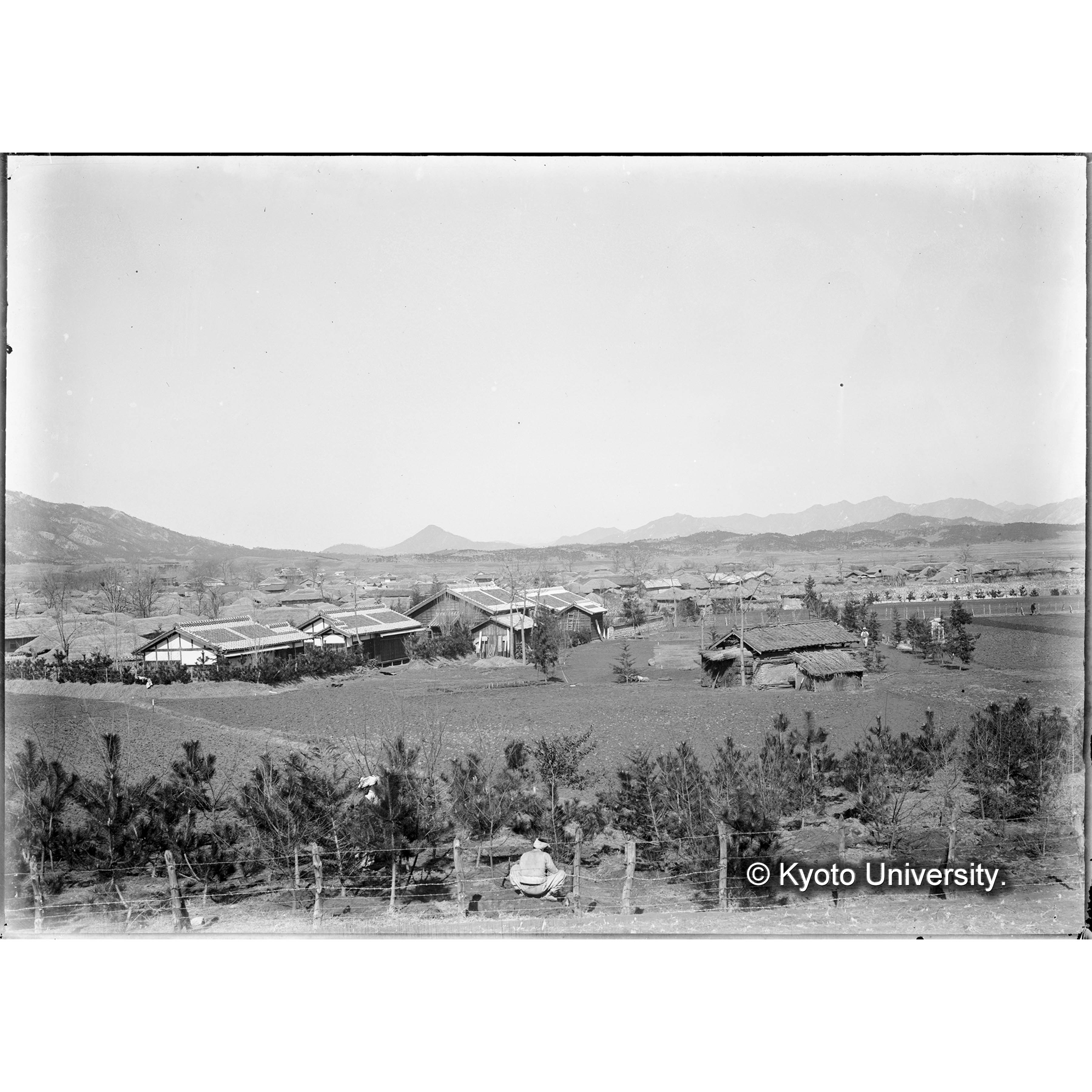 大正末年頃における朝鮮咸陽苗圃 (1)