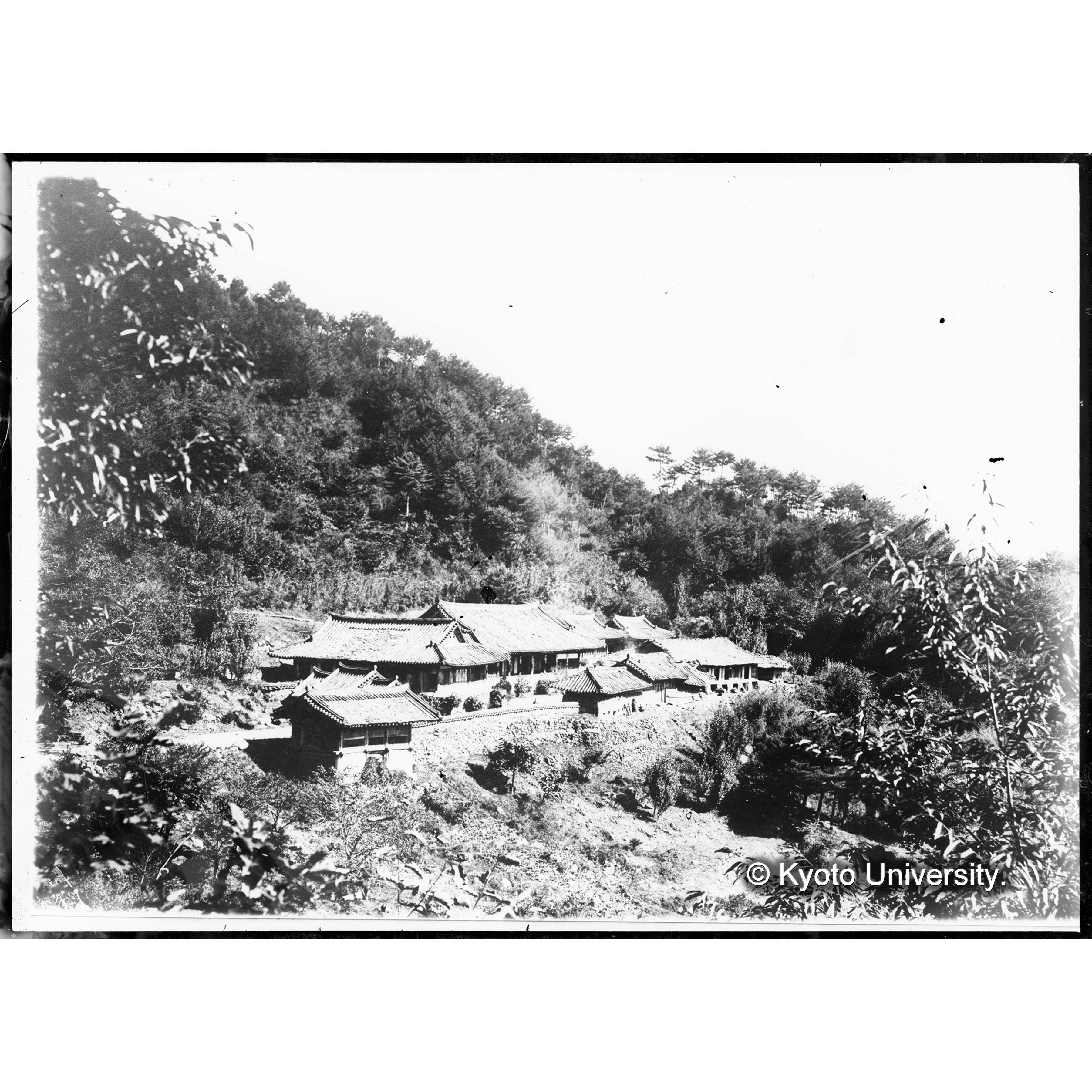 霊源寺(事業区Ⅱ林班26付近) (1)