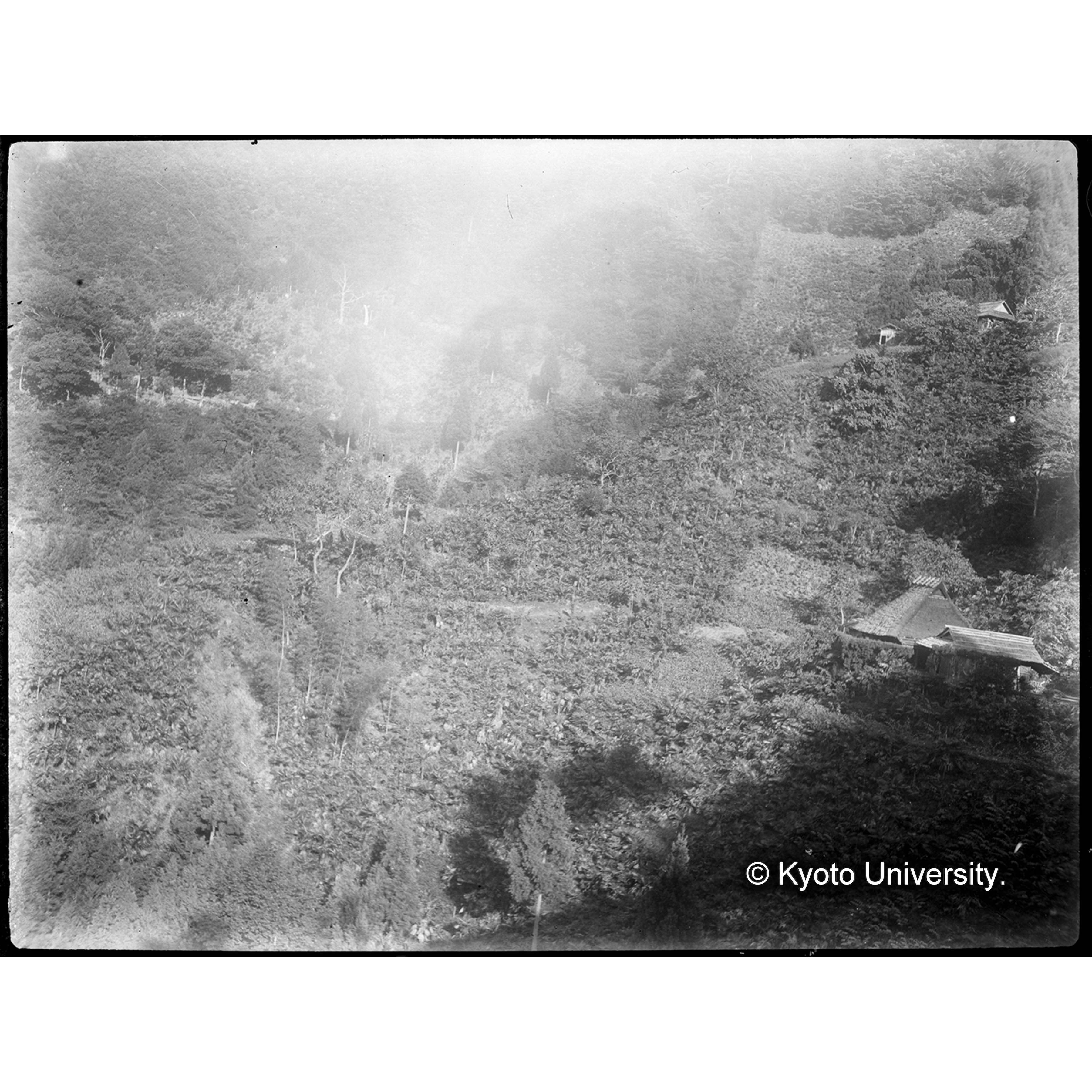 （ガラス乾板T-02 和歌山） (1)