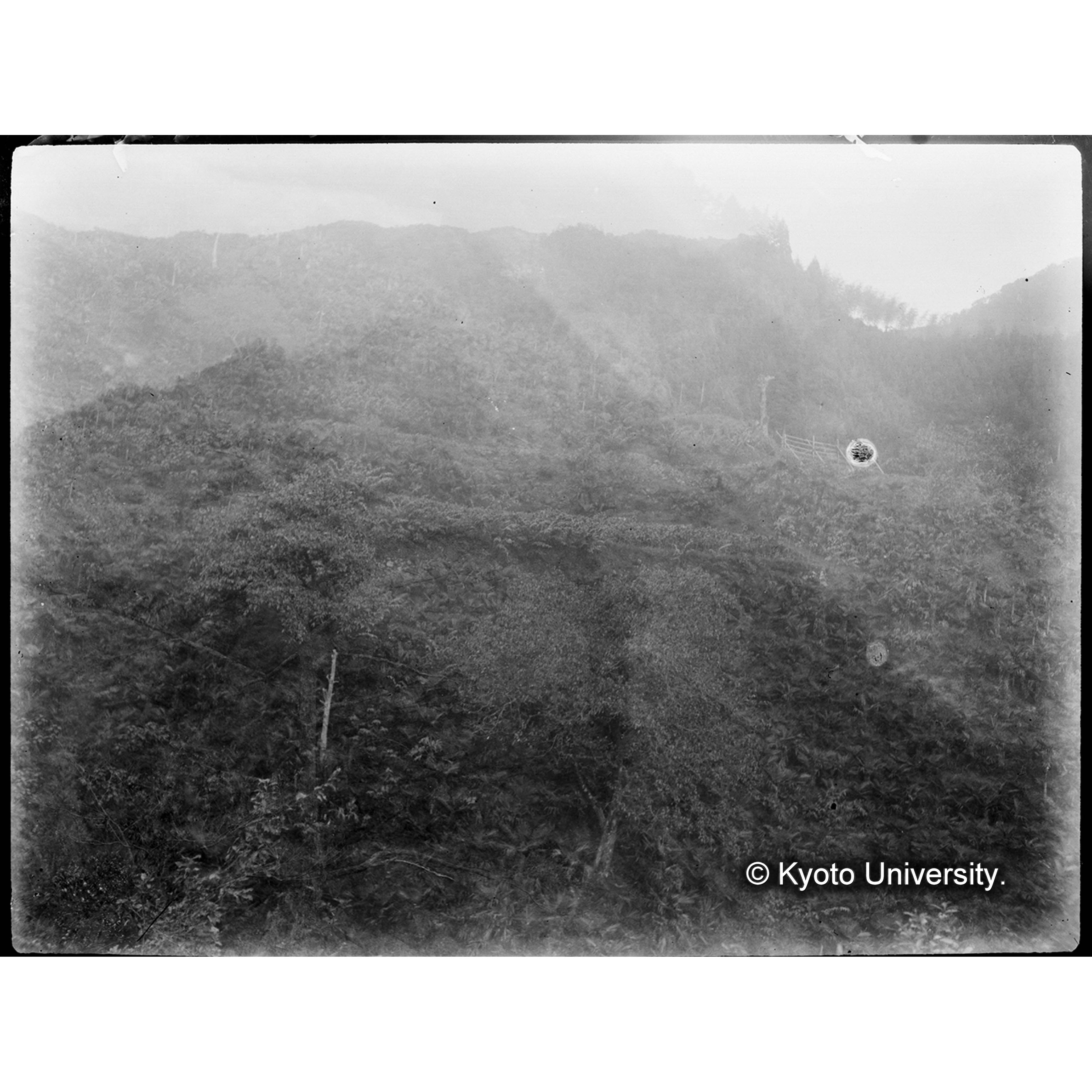 （ガラス乾板T-05 朝鮮） (1)