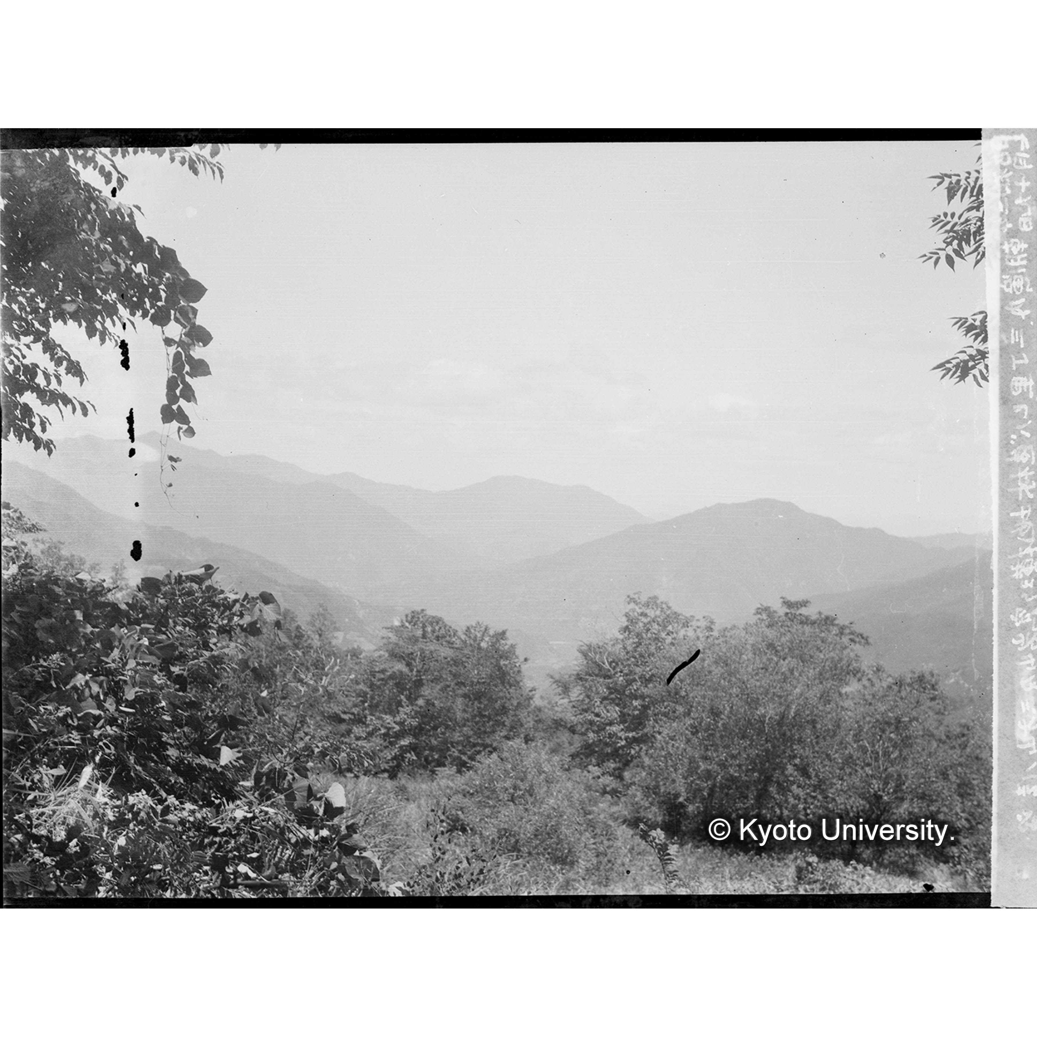 三丁里ヒバ造林地横より窓岩山及三方山の遠望 (1)