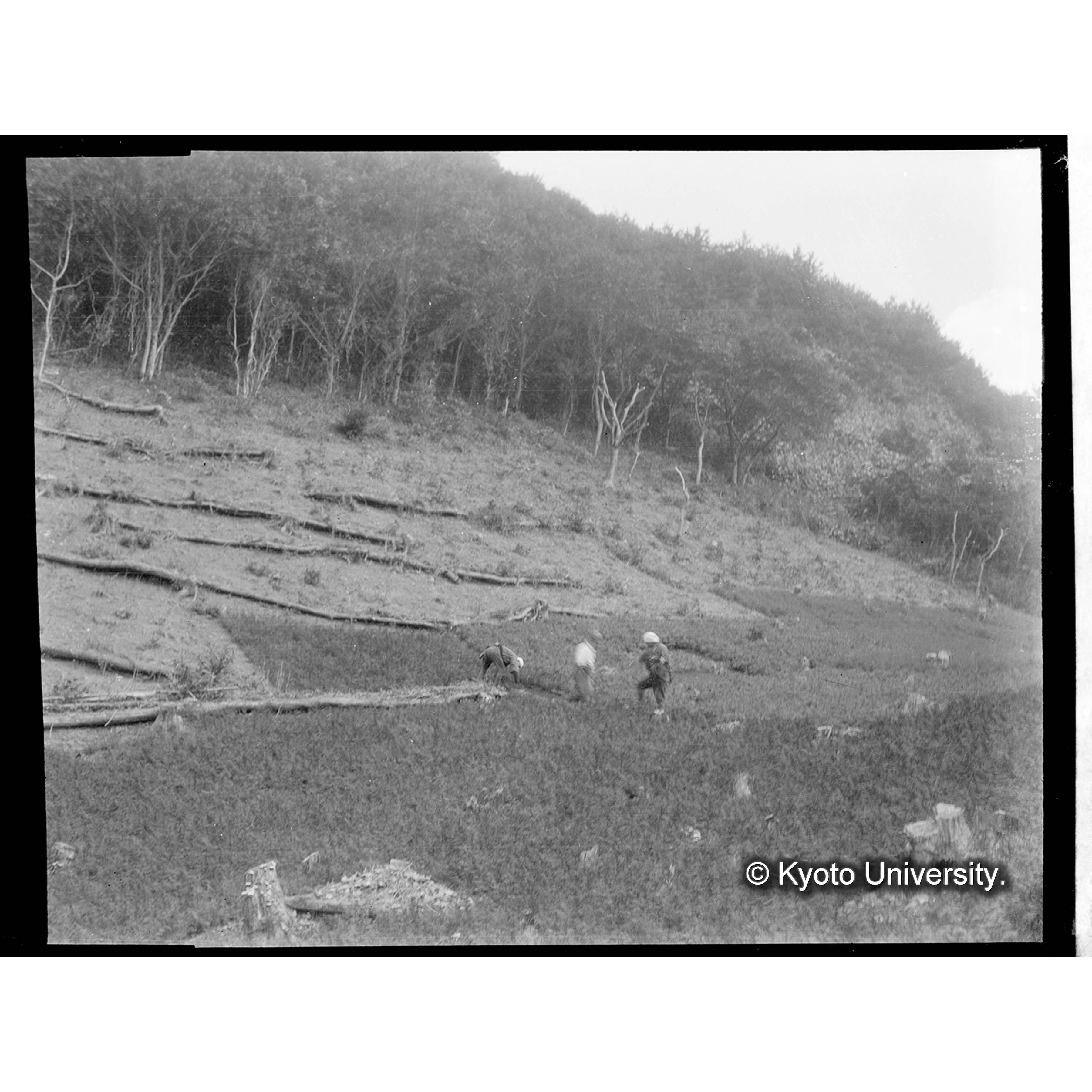 （写真原板U-24） (1)