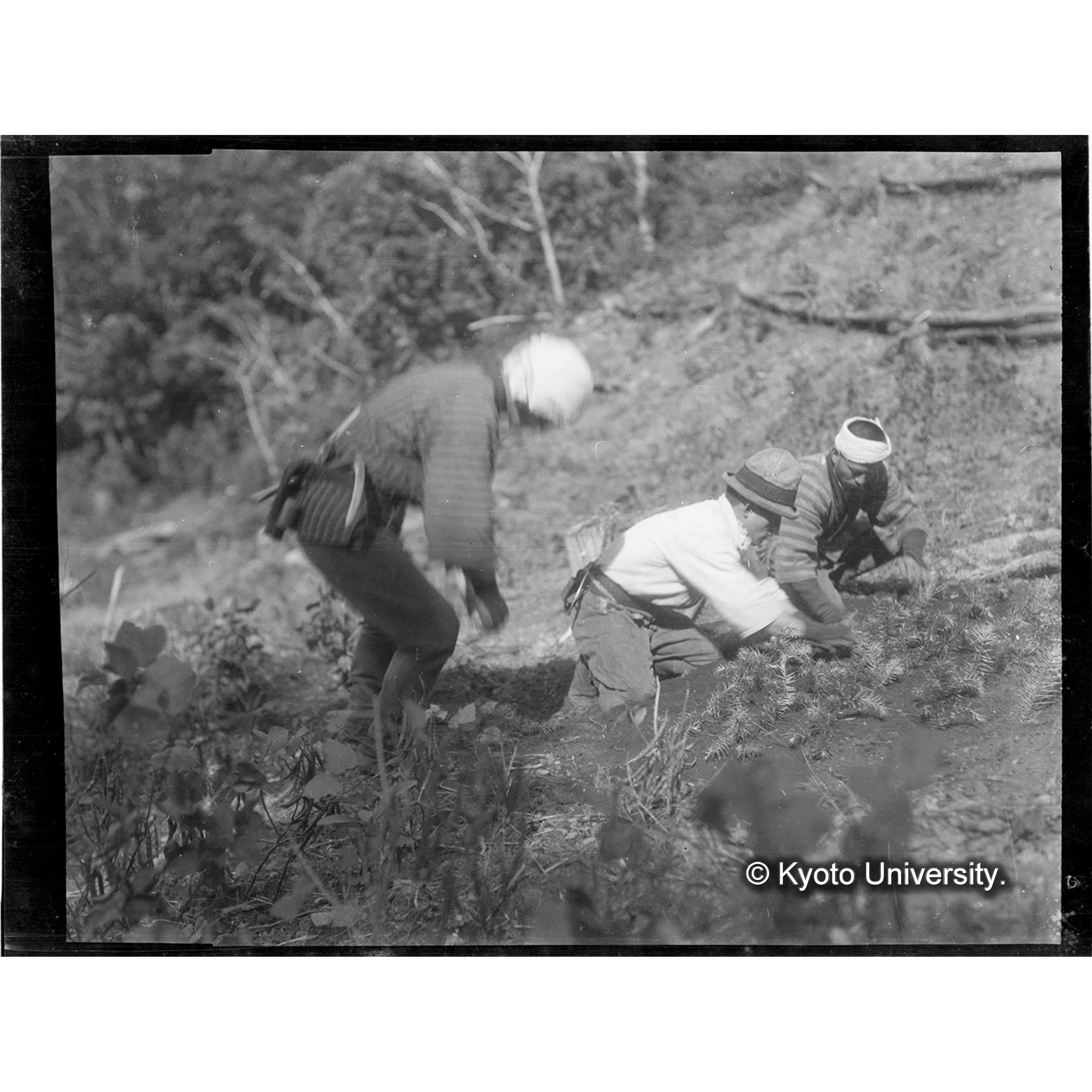 （写真原板U-28） (1)