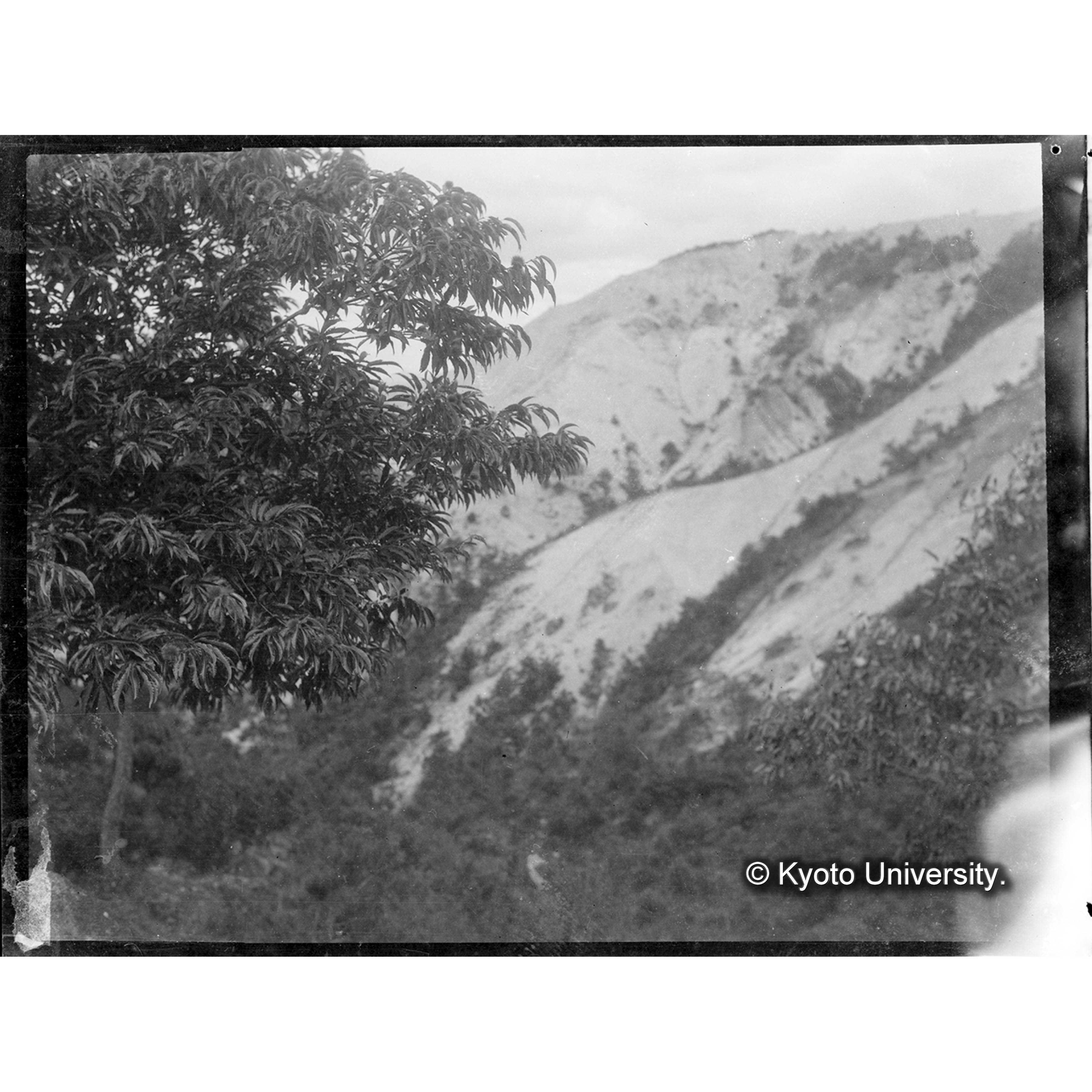 （写真原板U-29） (1)