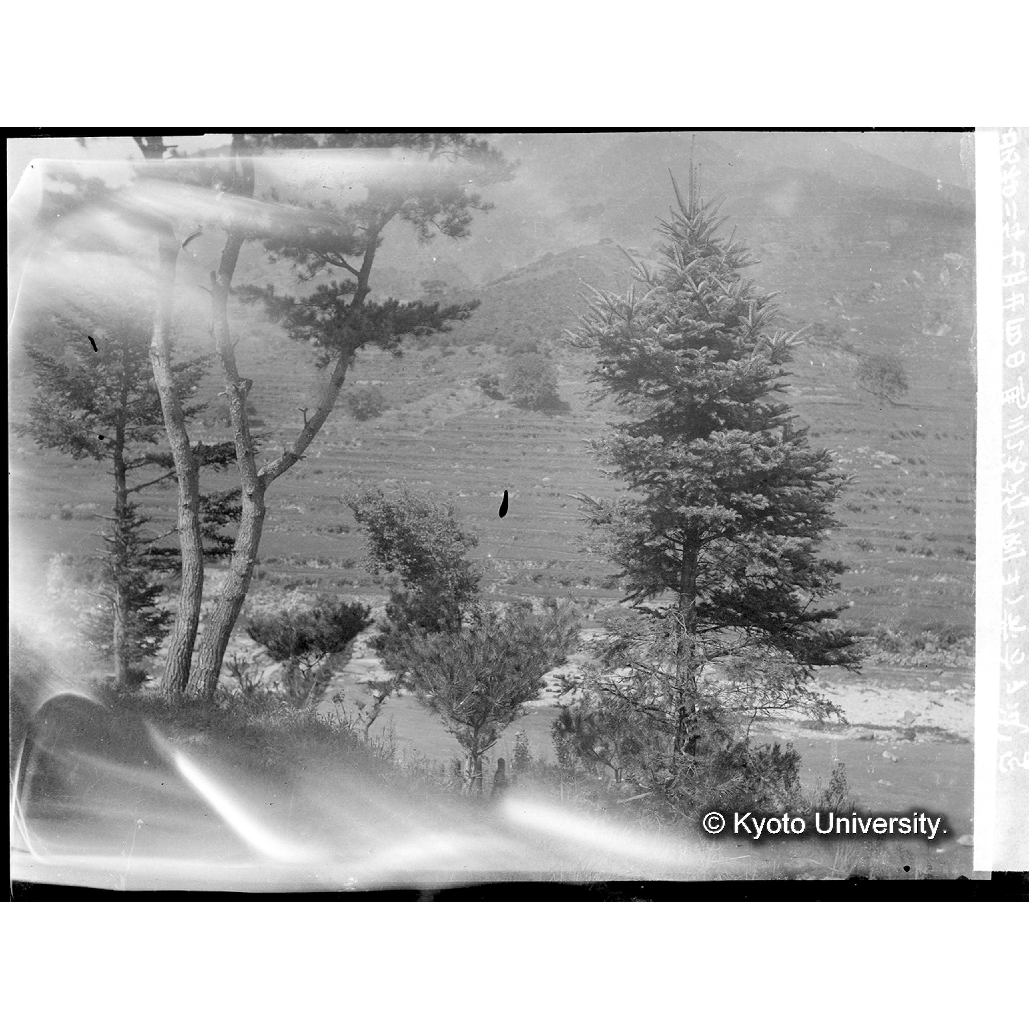 馬川詰所側より前方を試写 (1)