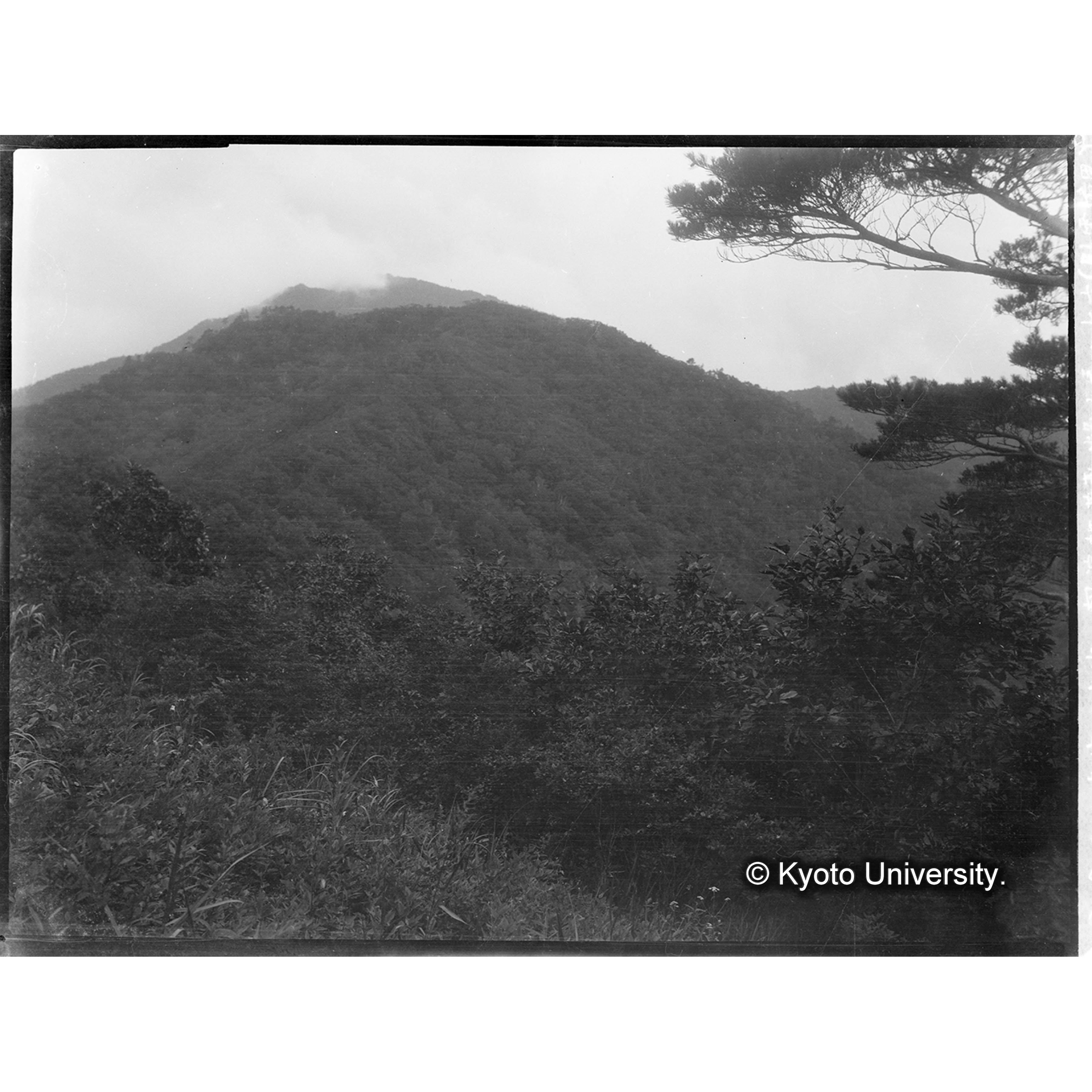 達宮下店谷,朝演椎茸乾燥小屋の上方(臥雲境界)より盤若峯方面を望む (1)