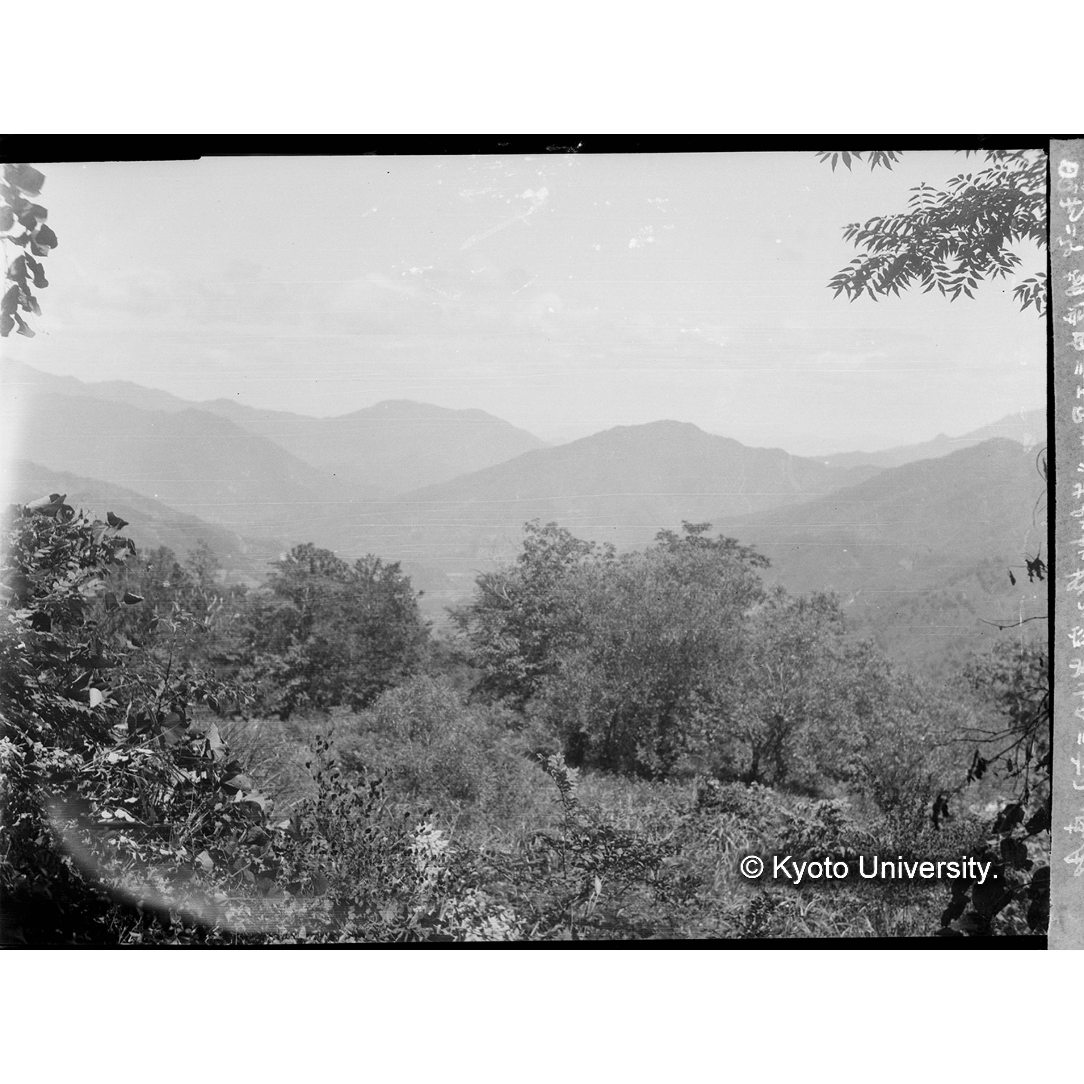 三丁里ヒバ造林地横より窓岩山及三方山の遠望 (1)