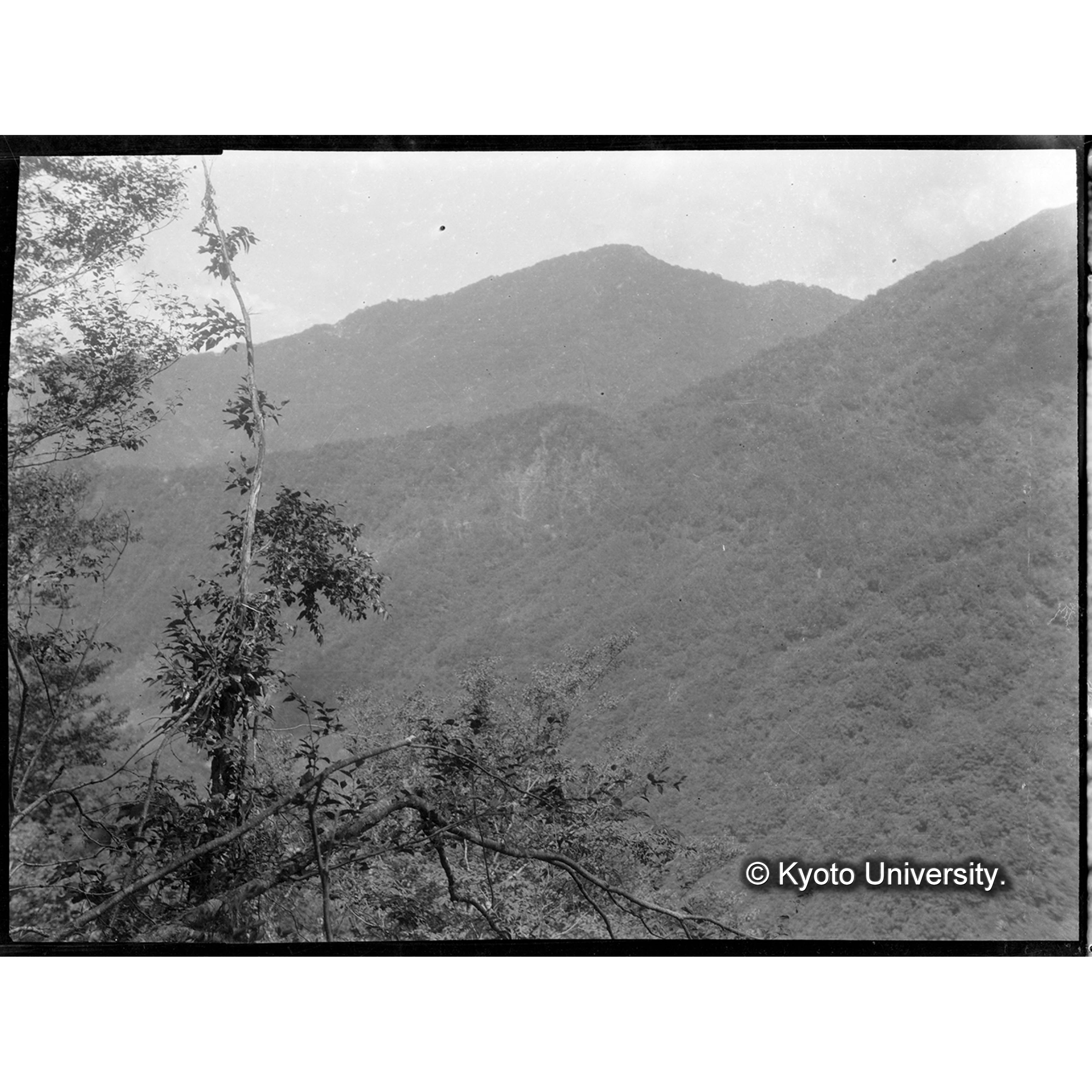 臥雲椎茸寝込場の上方よりに呉線?嶺方面を望む (1)