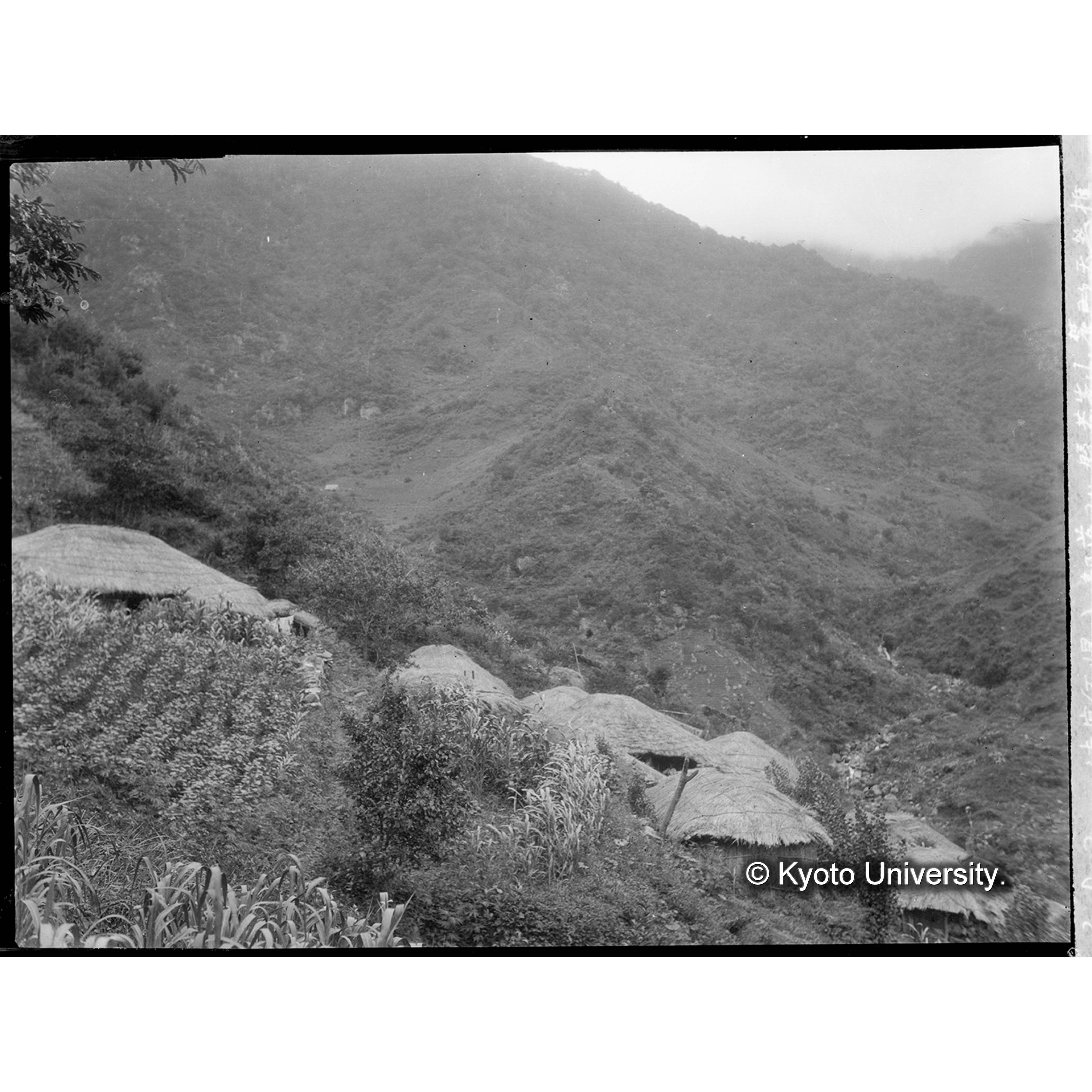 達宮(石山見?)部落より盤若峯山麓天然椎茸栽地を望む (1)