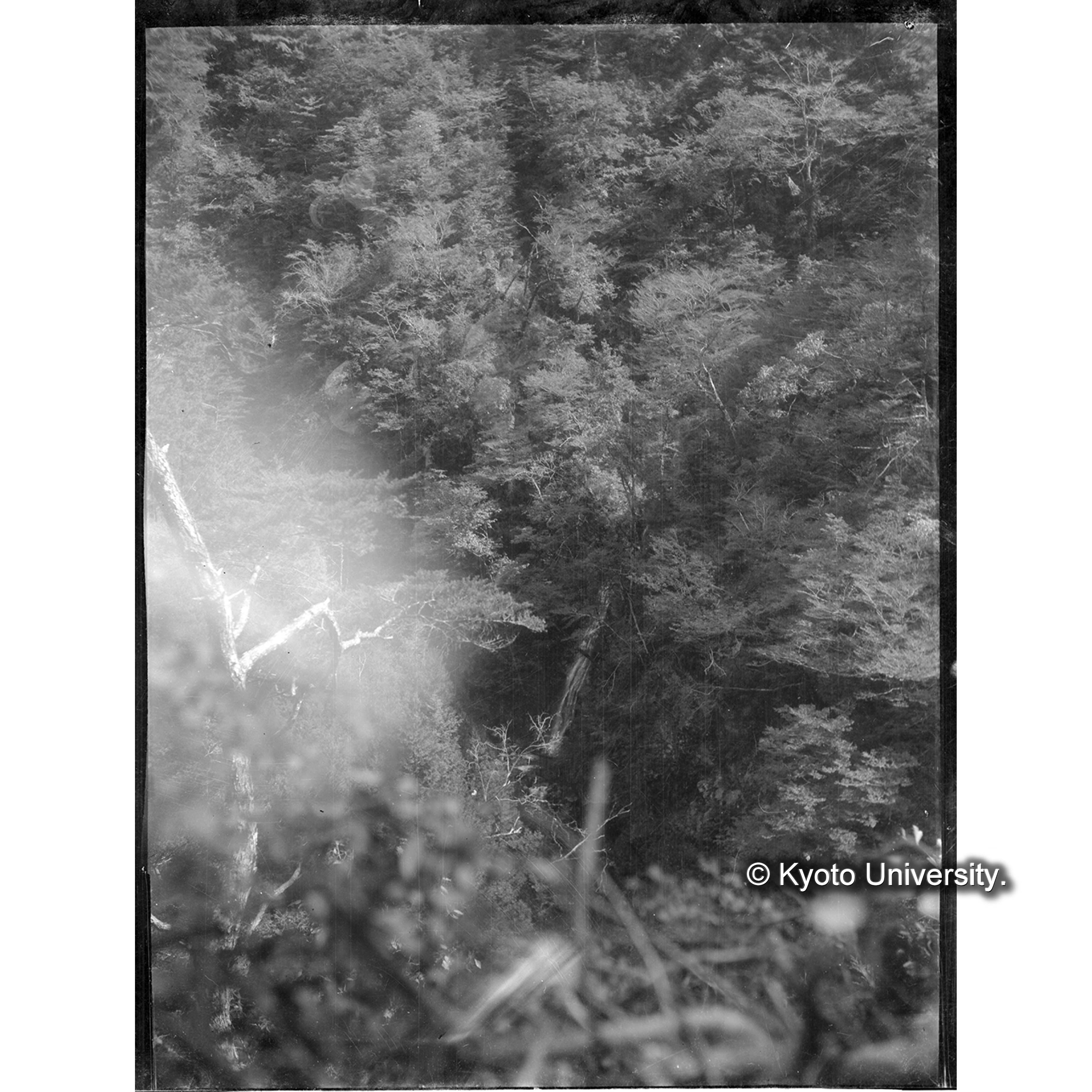 （写真原板U-56） (1)