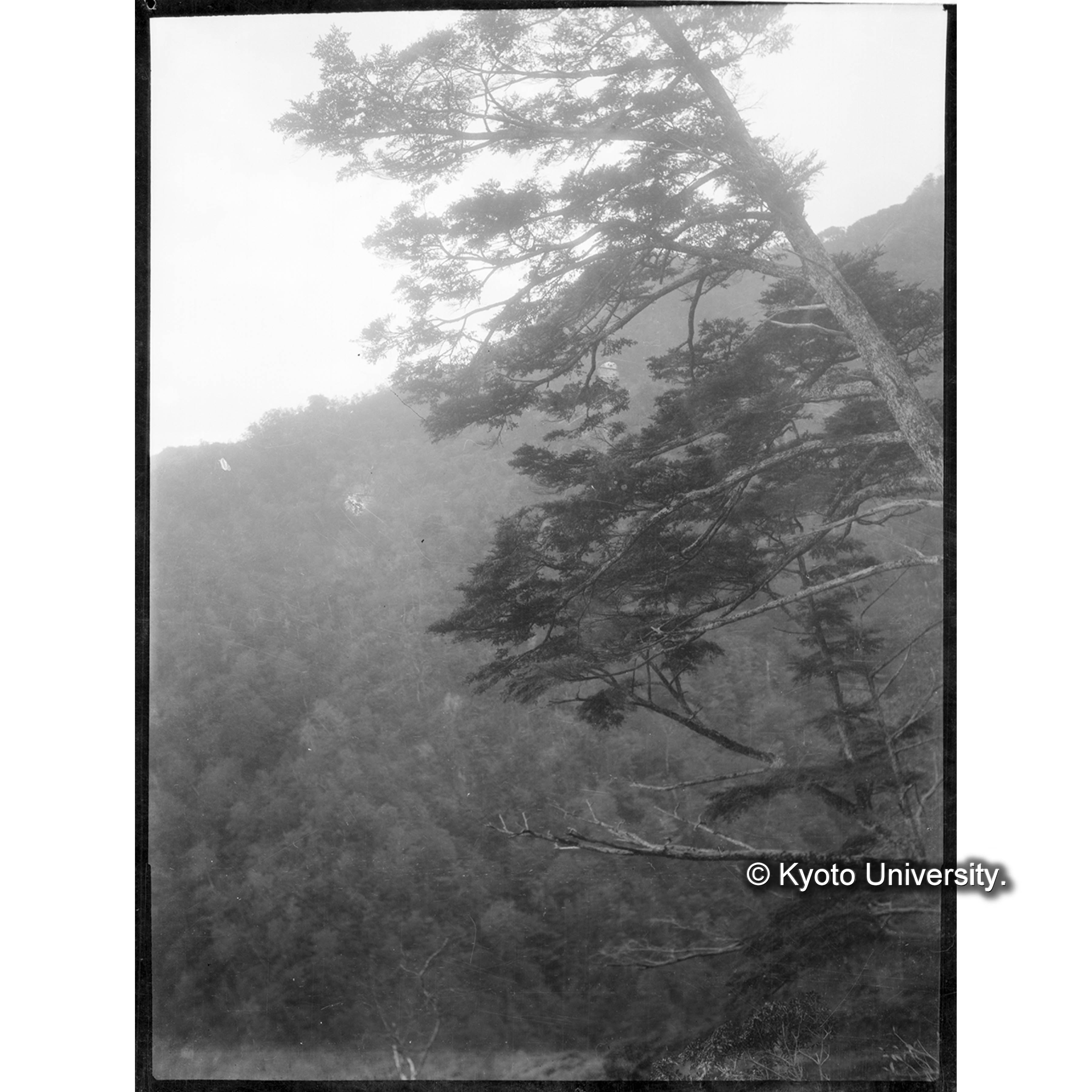 （写真原板U-60） (1)