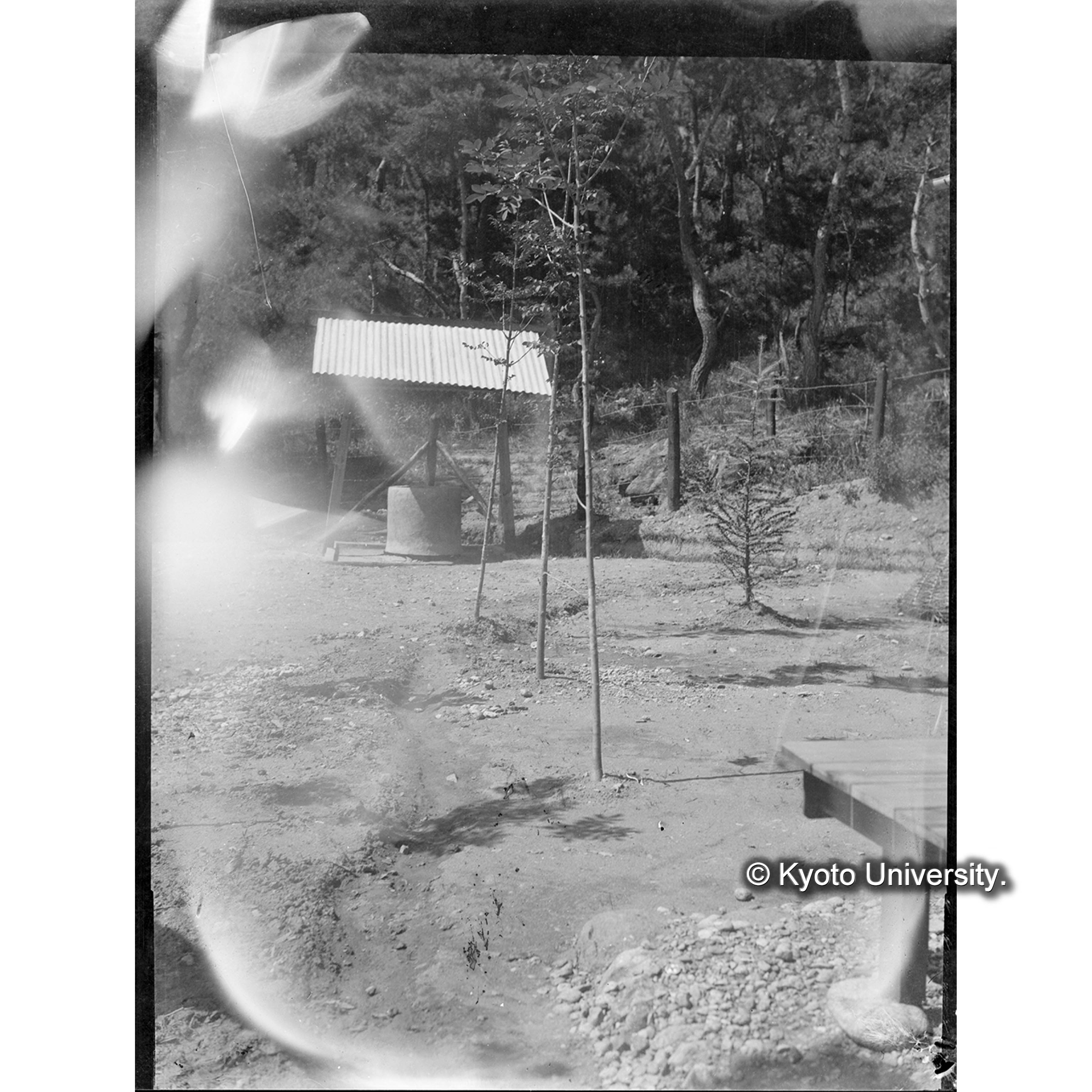 馬川詰所前庭の試写 (1)