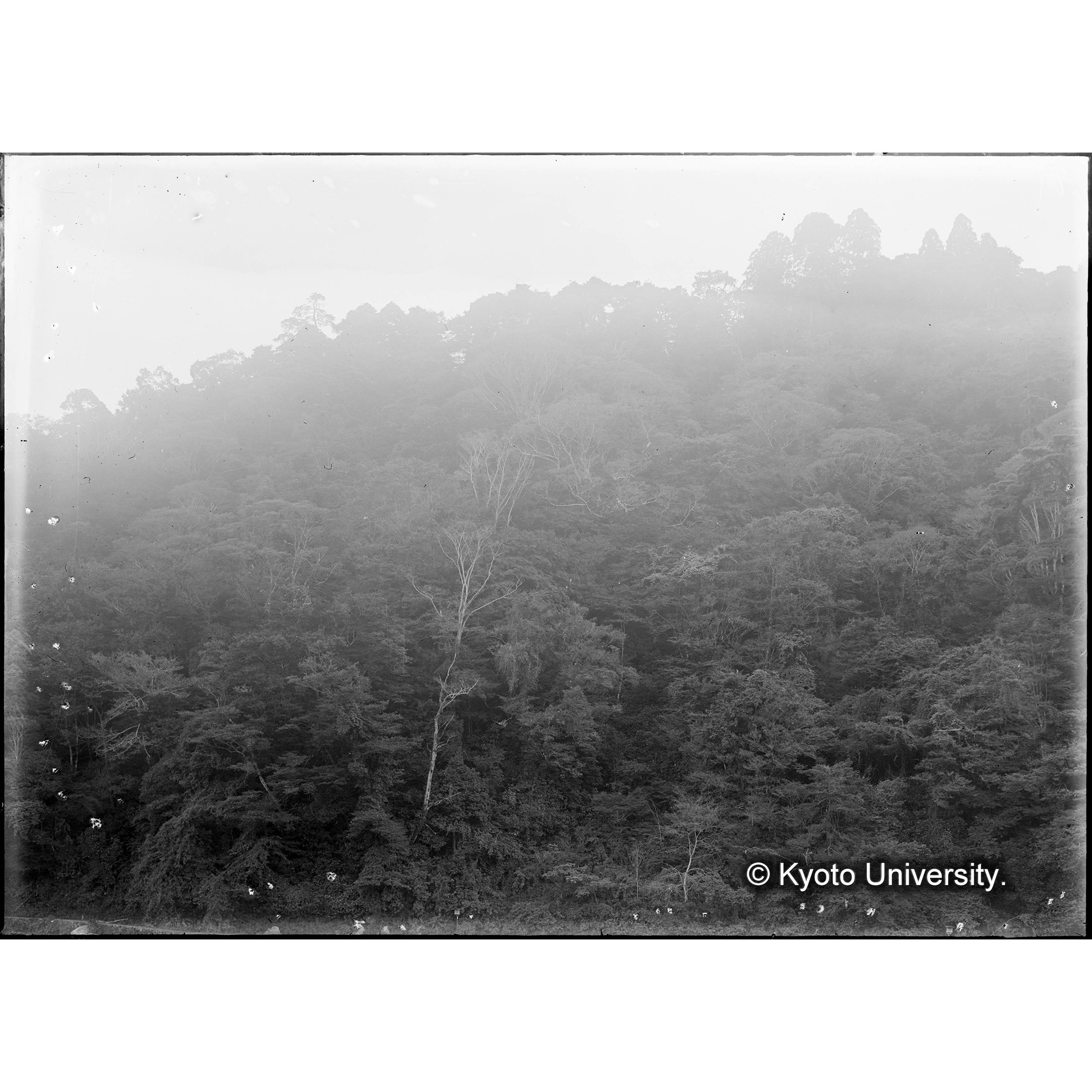 （ガラス乾板雑1-12） (1)