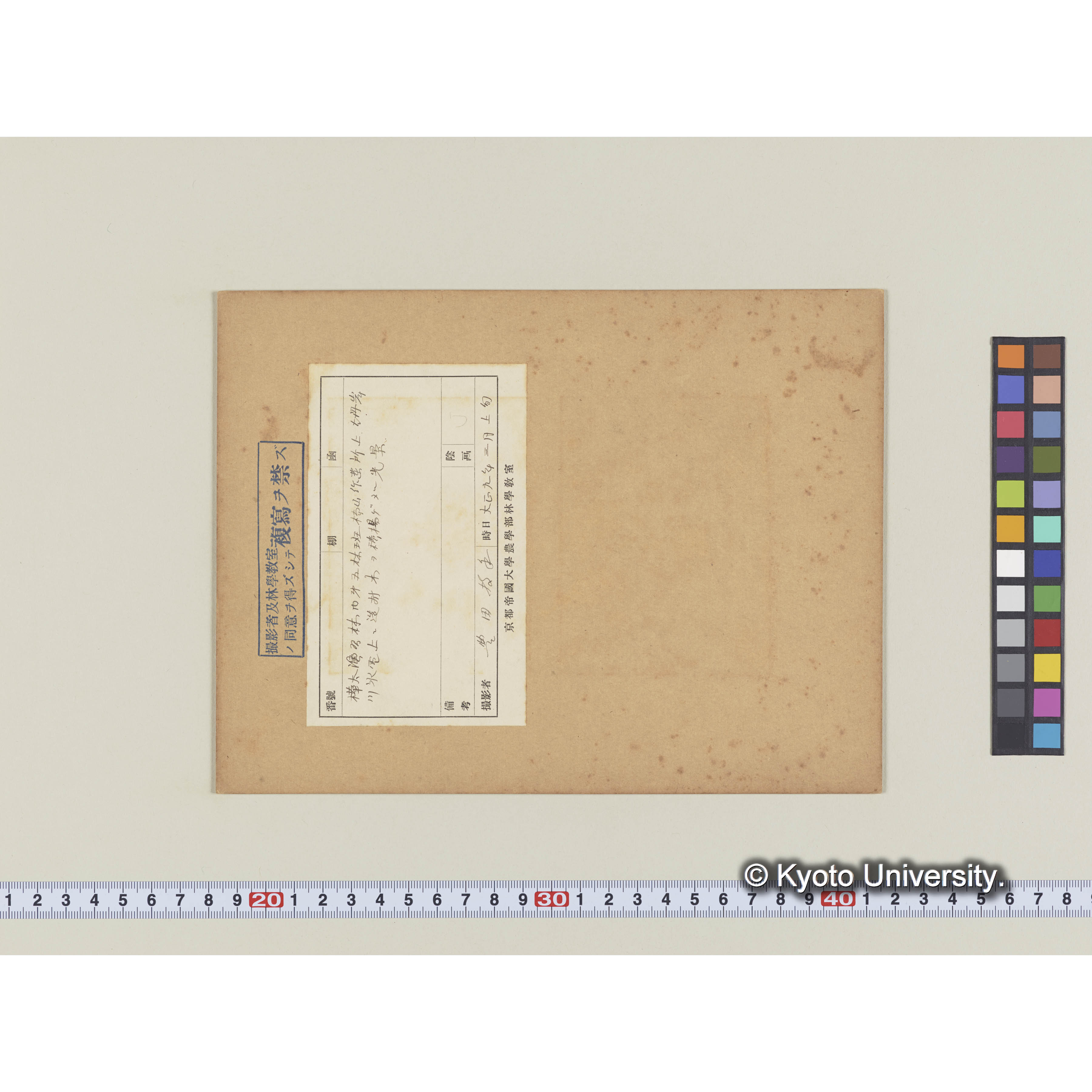 古丹岸川氷雪上に造林木を積揚げたる光景樺太保存写真 (1)