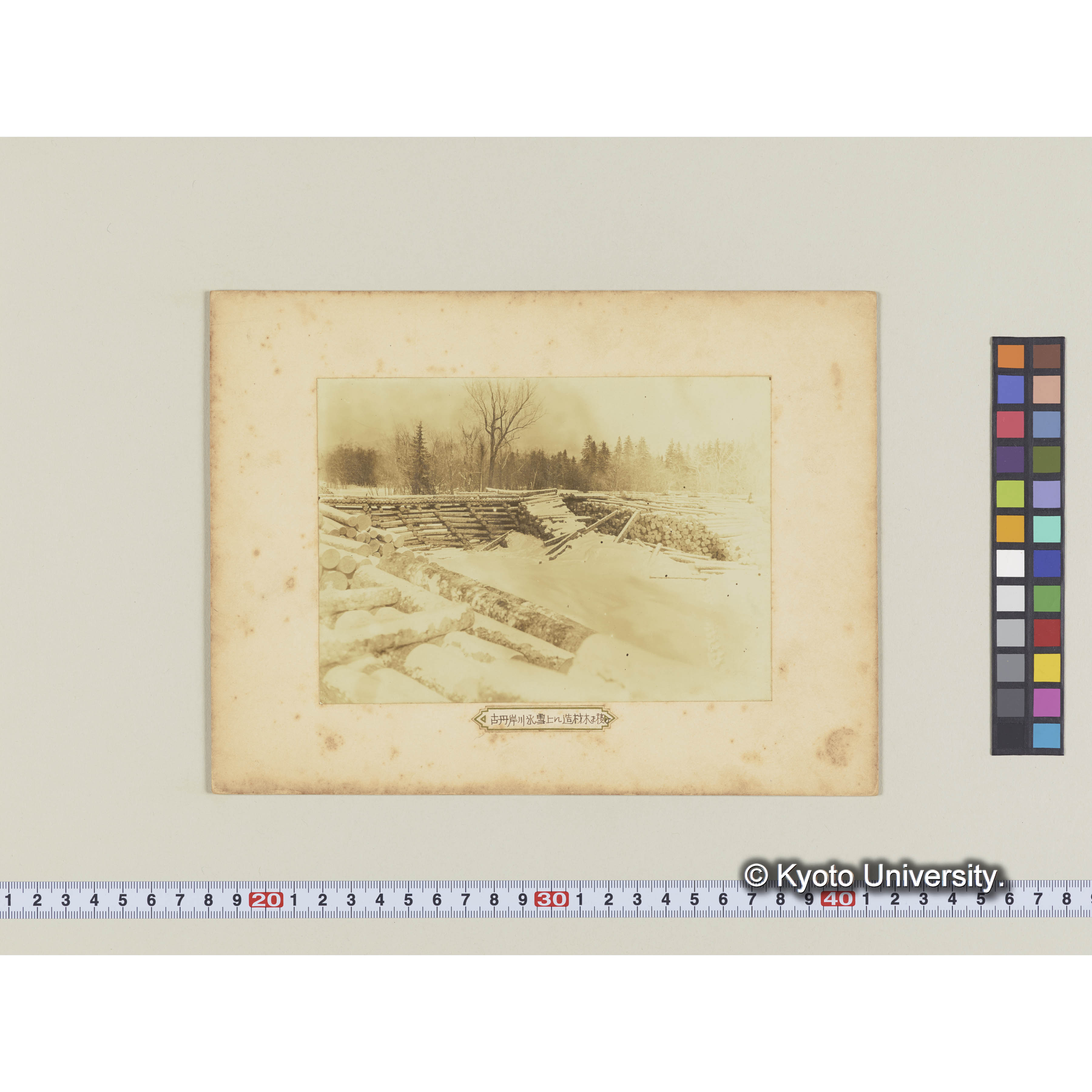 古丹岸川氷雪上に造林木を積揚げたる光景樺太保存写真 (2)