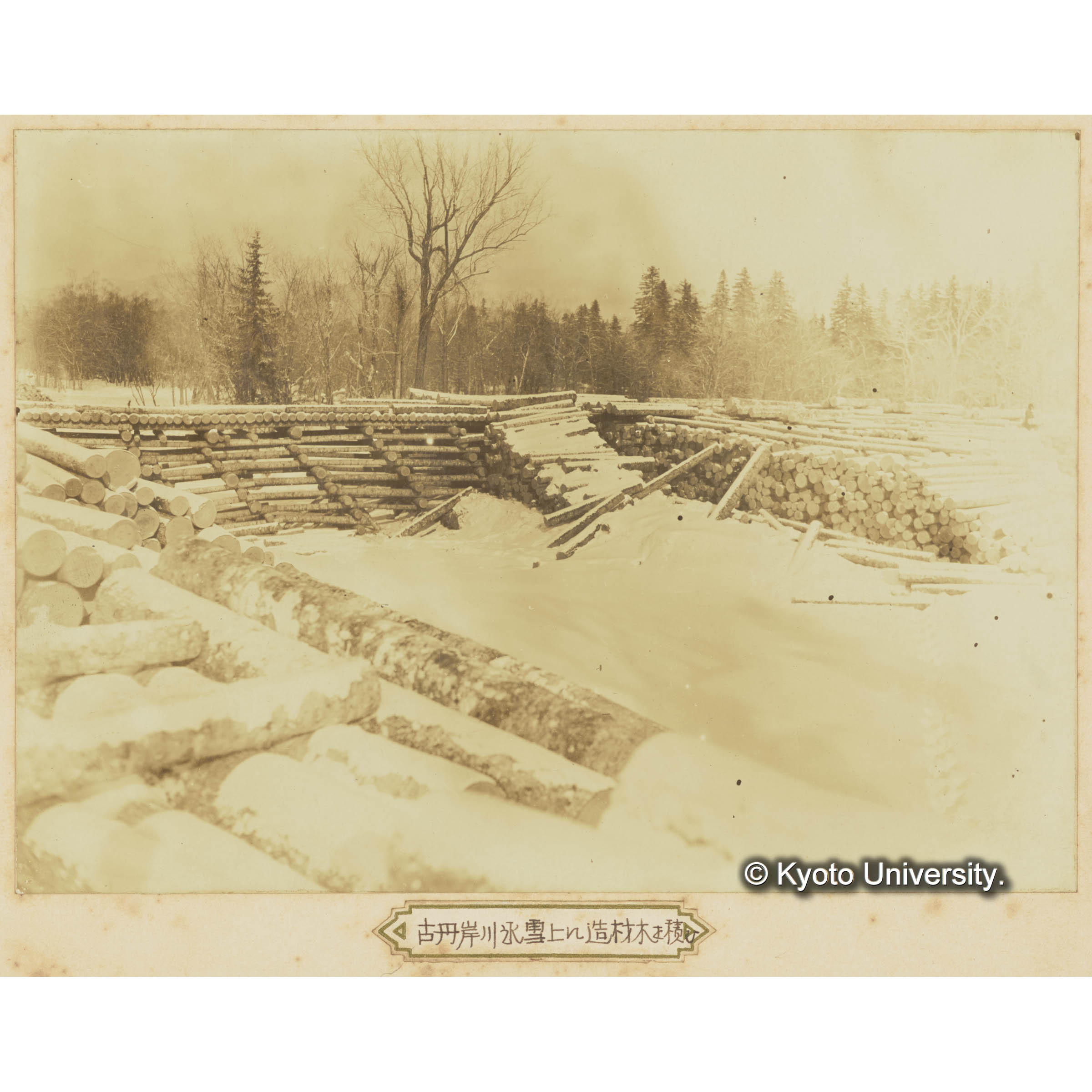 古丹岸川氷雪上に造林木を積揚げたる光景樺太保存写真 (3)
