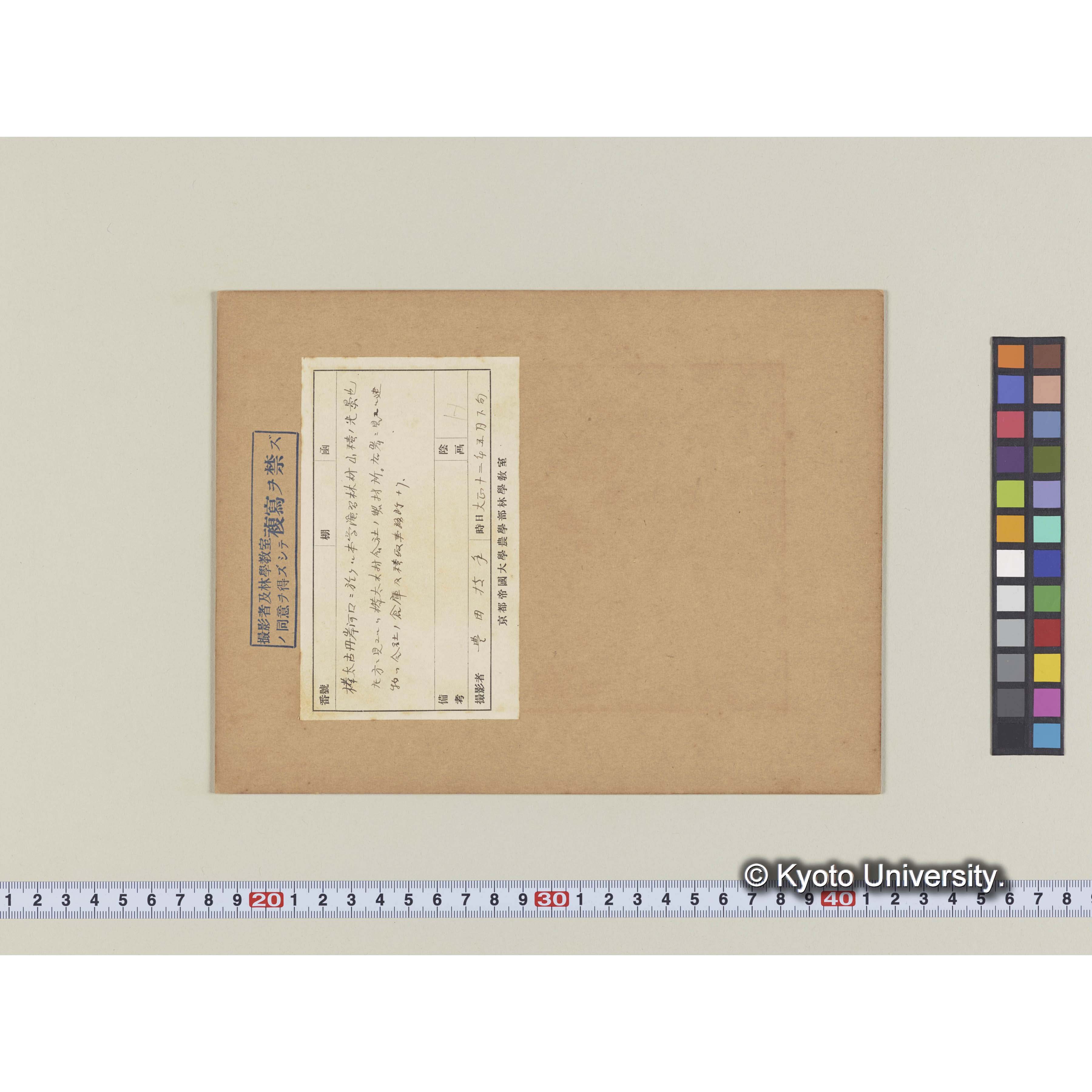 古丹岸に於ける演習林の木材 (1)